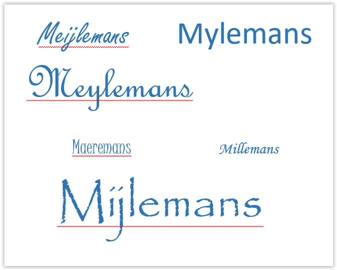 De familienaam M(e)ylemans