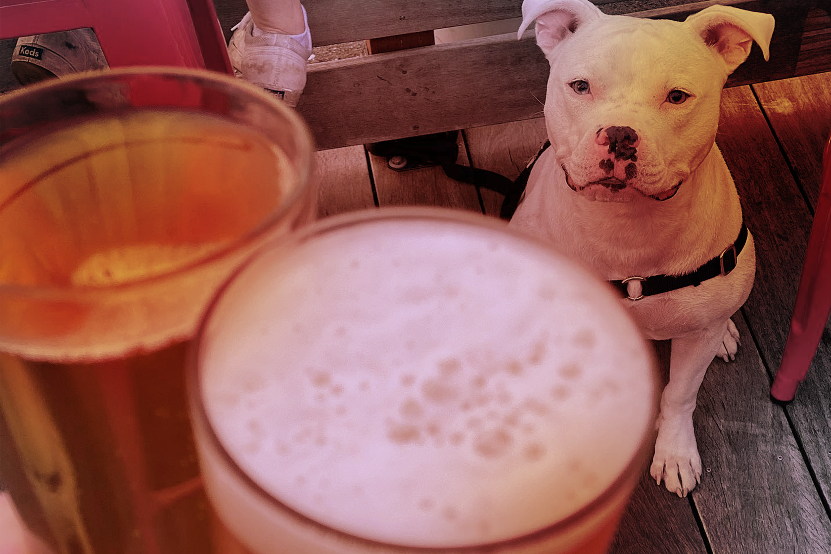 Rooftop Brewing Company