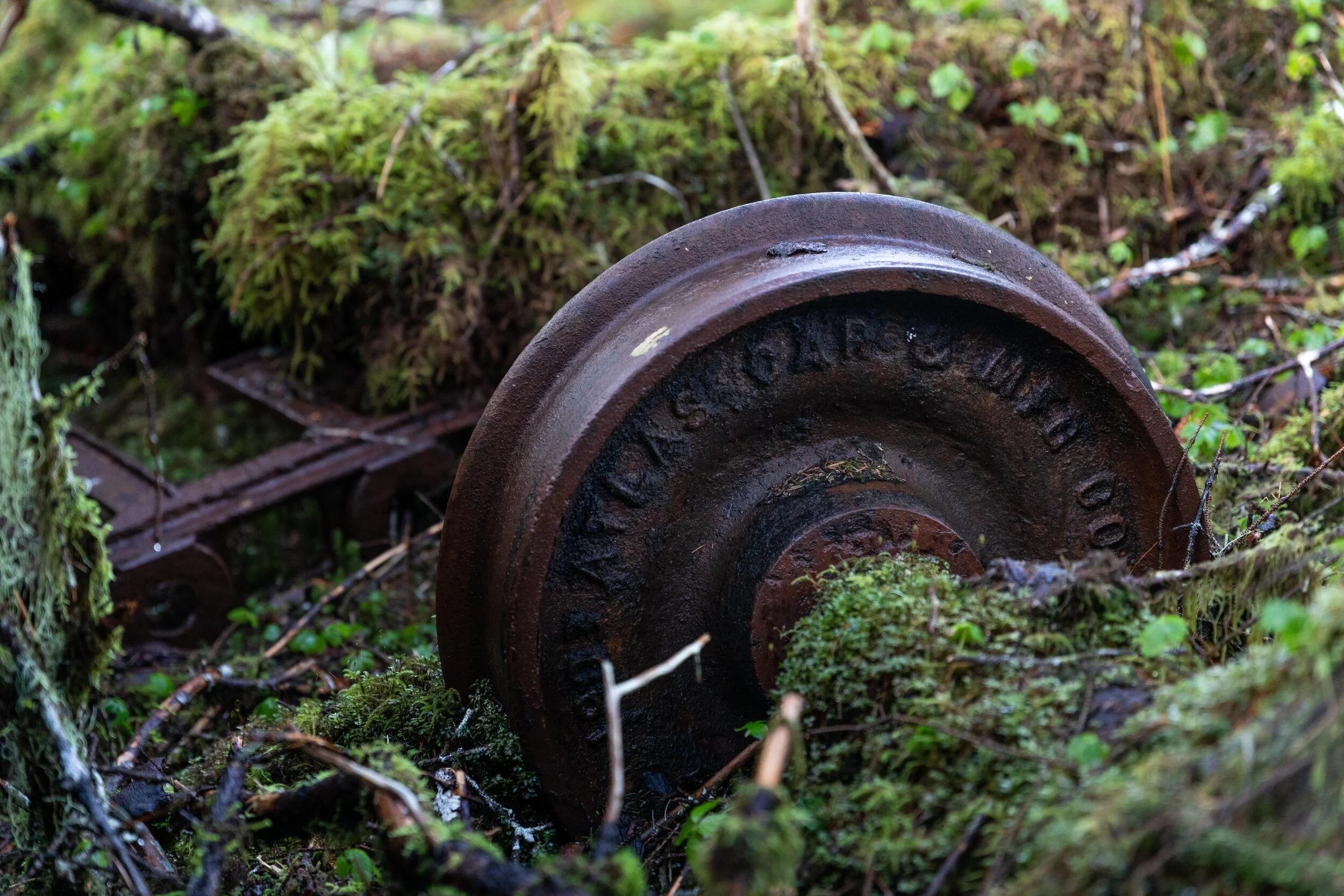 train today-33.jpg