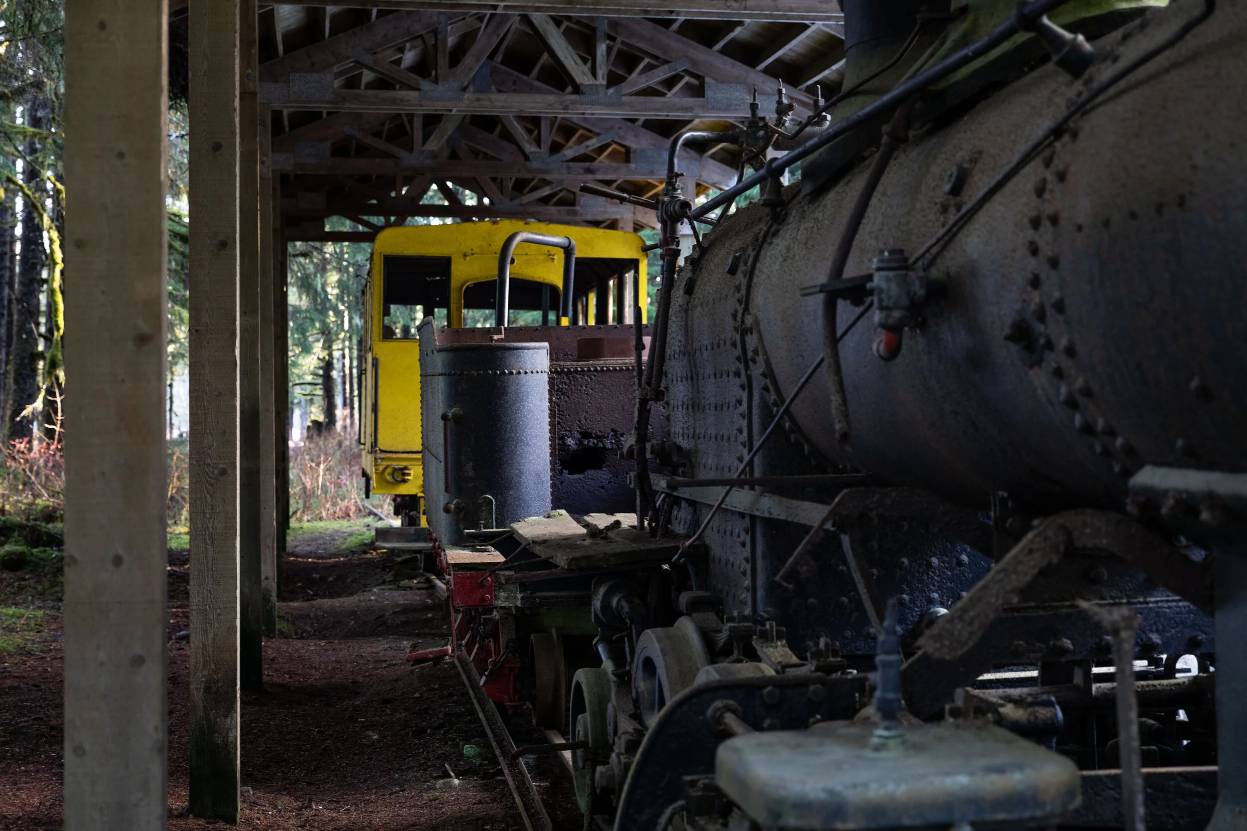 train today-3.jpg