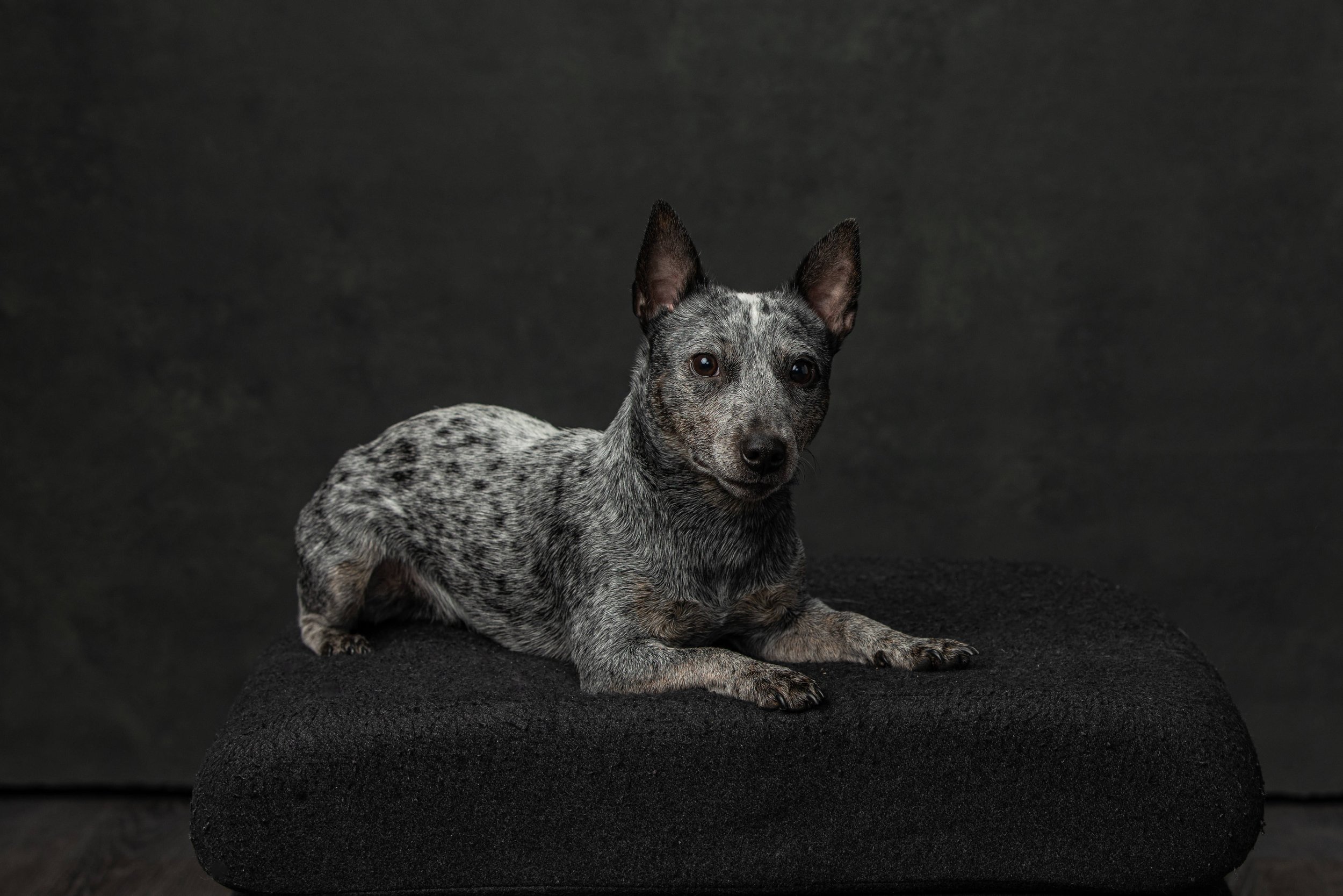 eddie-0013.jpg