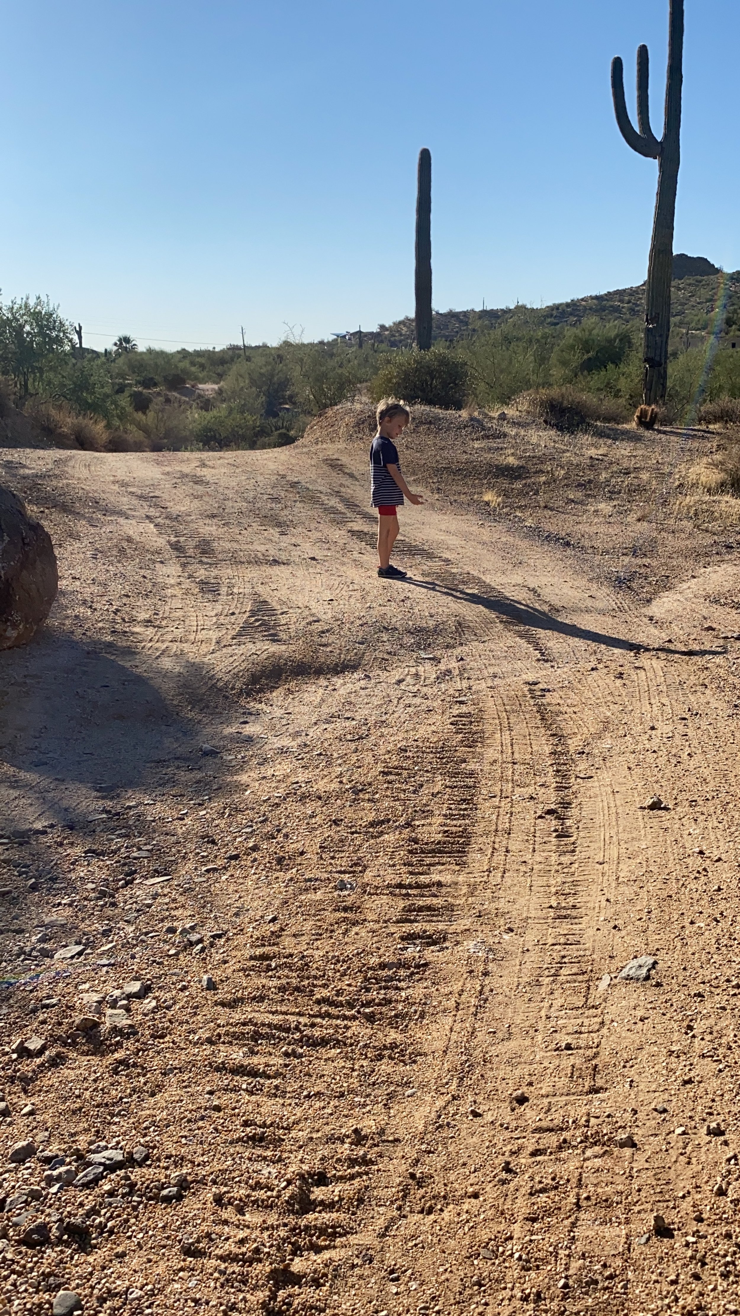 Yoga Nidra: Walking down a path live recording