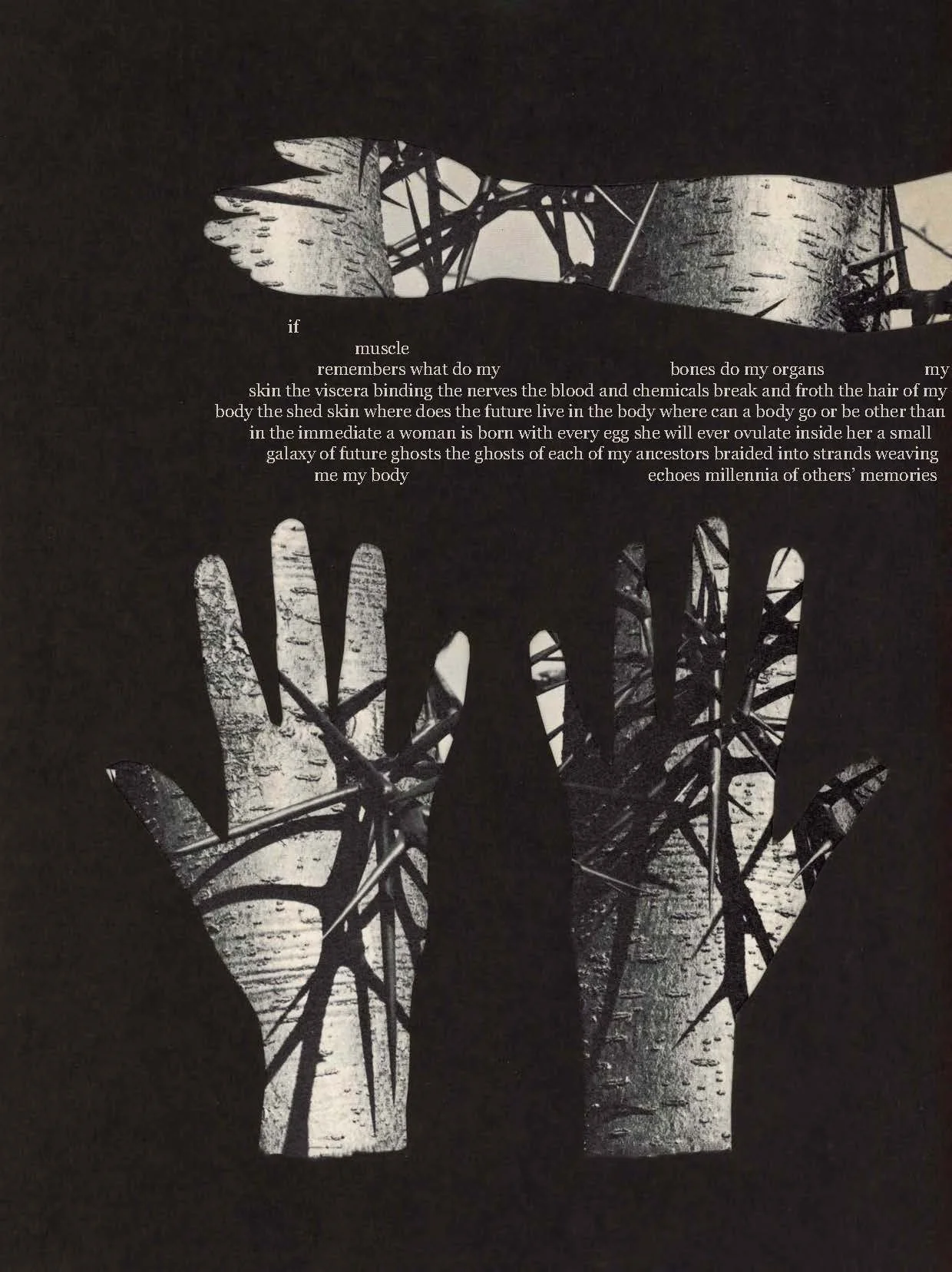 Object Lesson 9.9.25.jpg