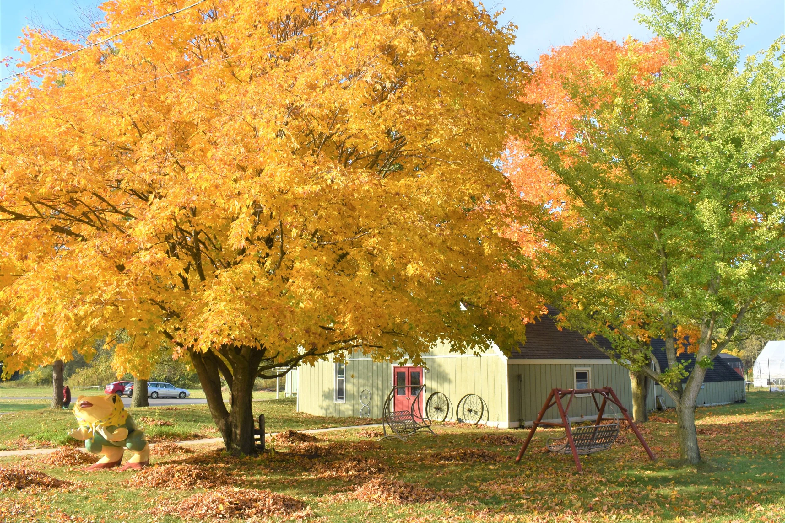 Board Bittersweet Farms — Bittersweet Farms