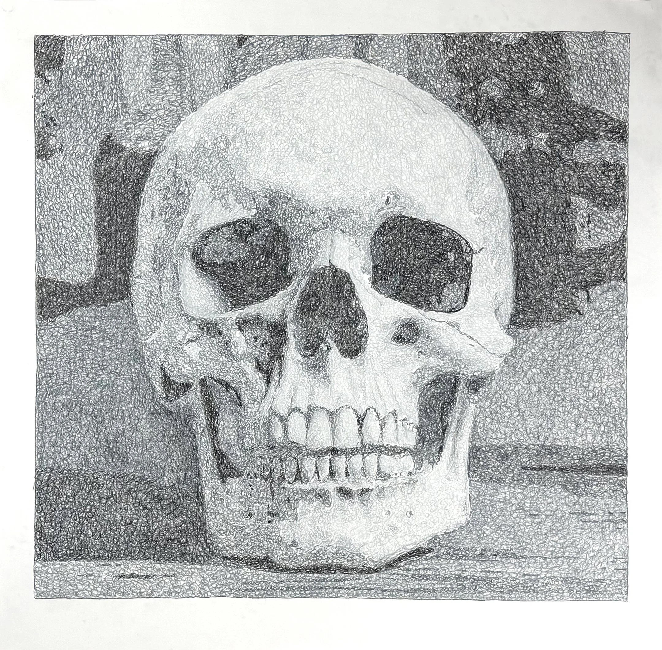 Skull II, 2026, Colored Pencil, 38" X 38"