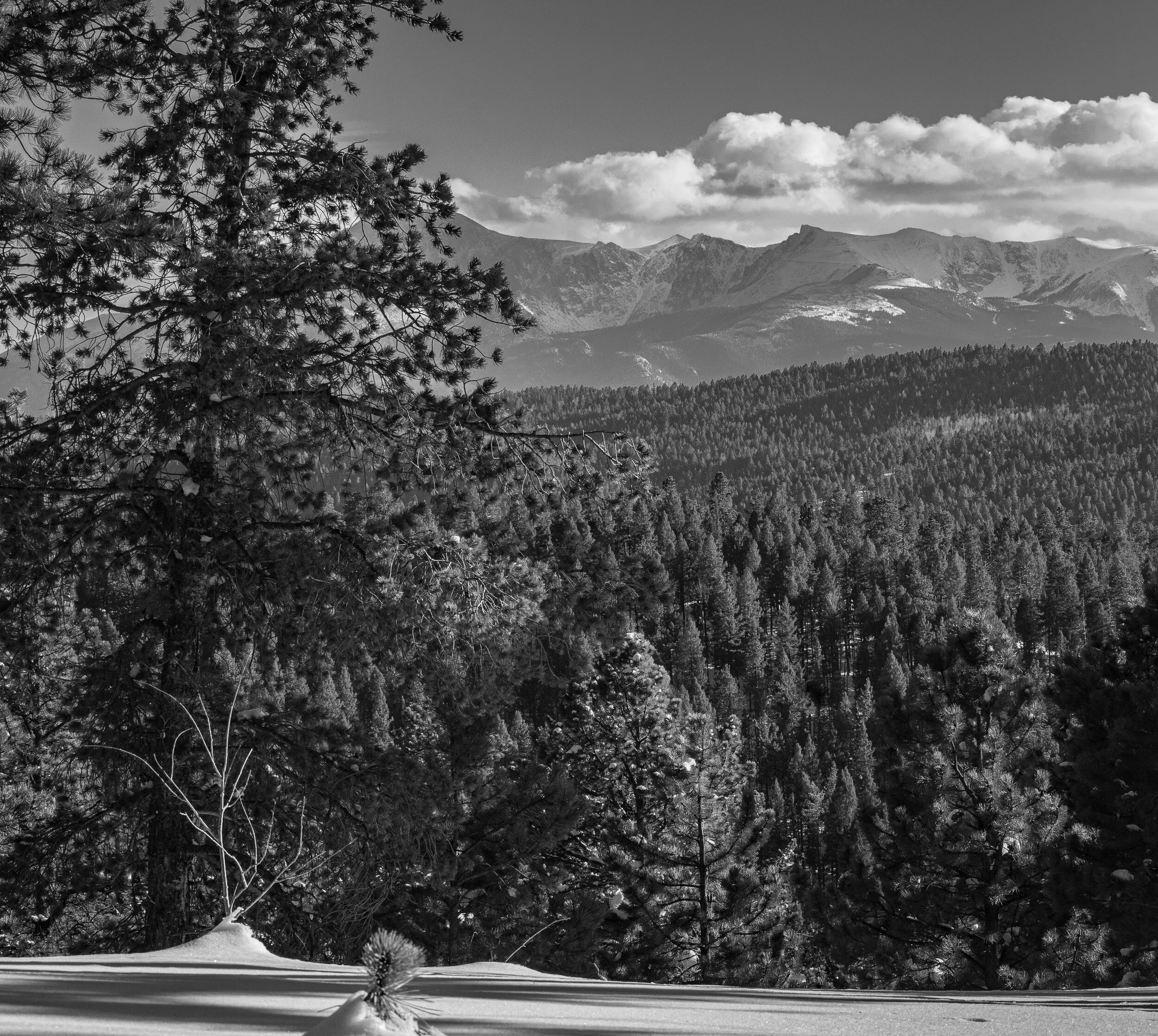 Colorado Springs, Colorado