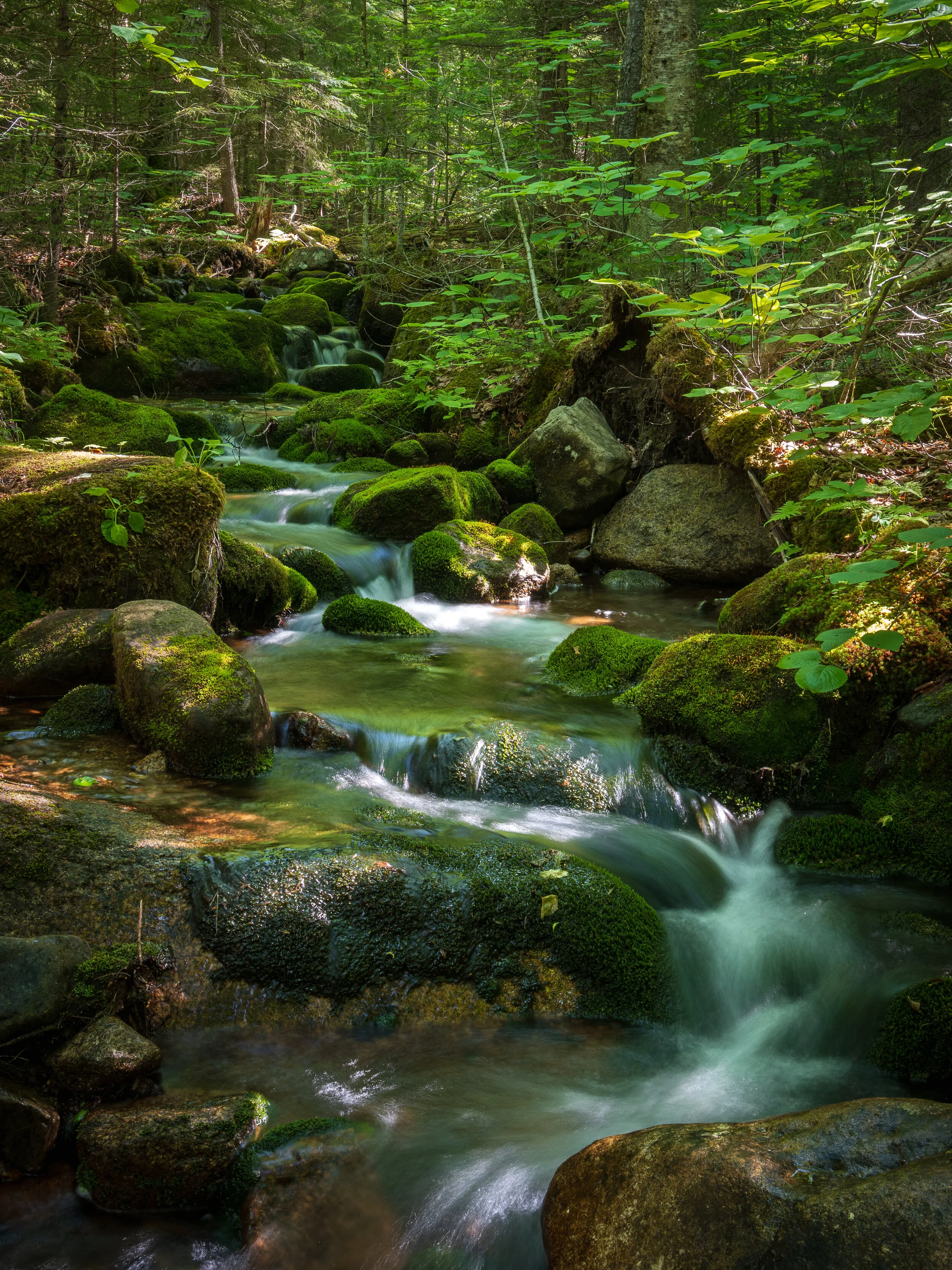White Mountain National Forest, New Hampshire