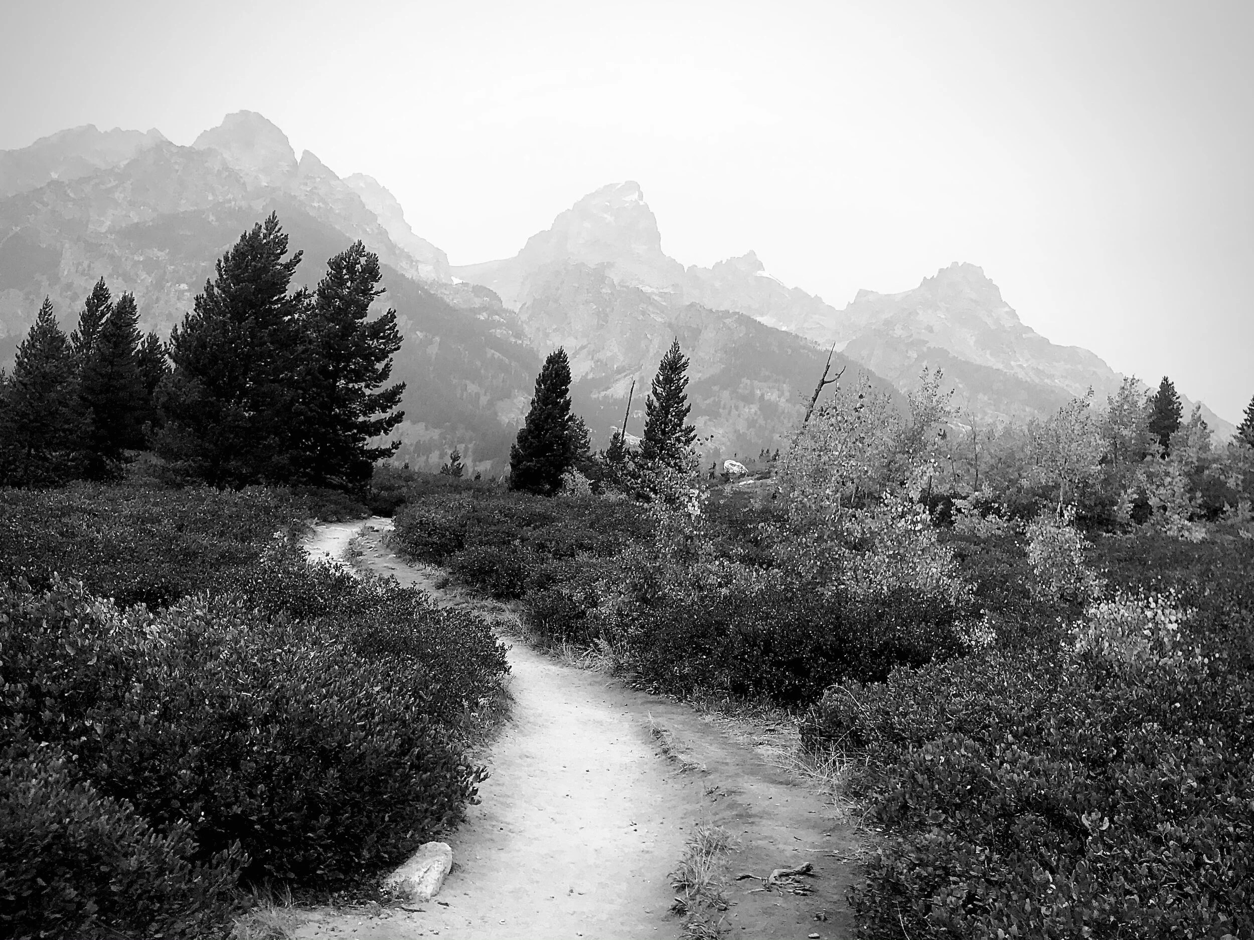 Grand Teton National Park, Wyoming