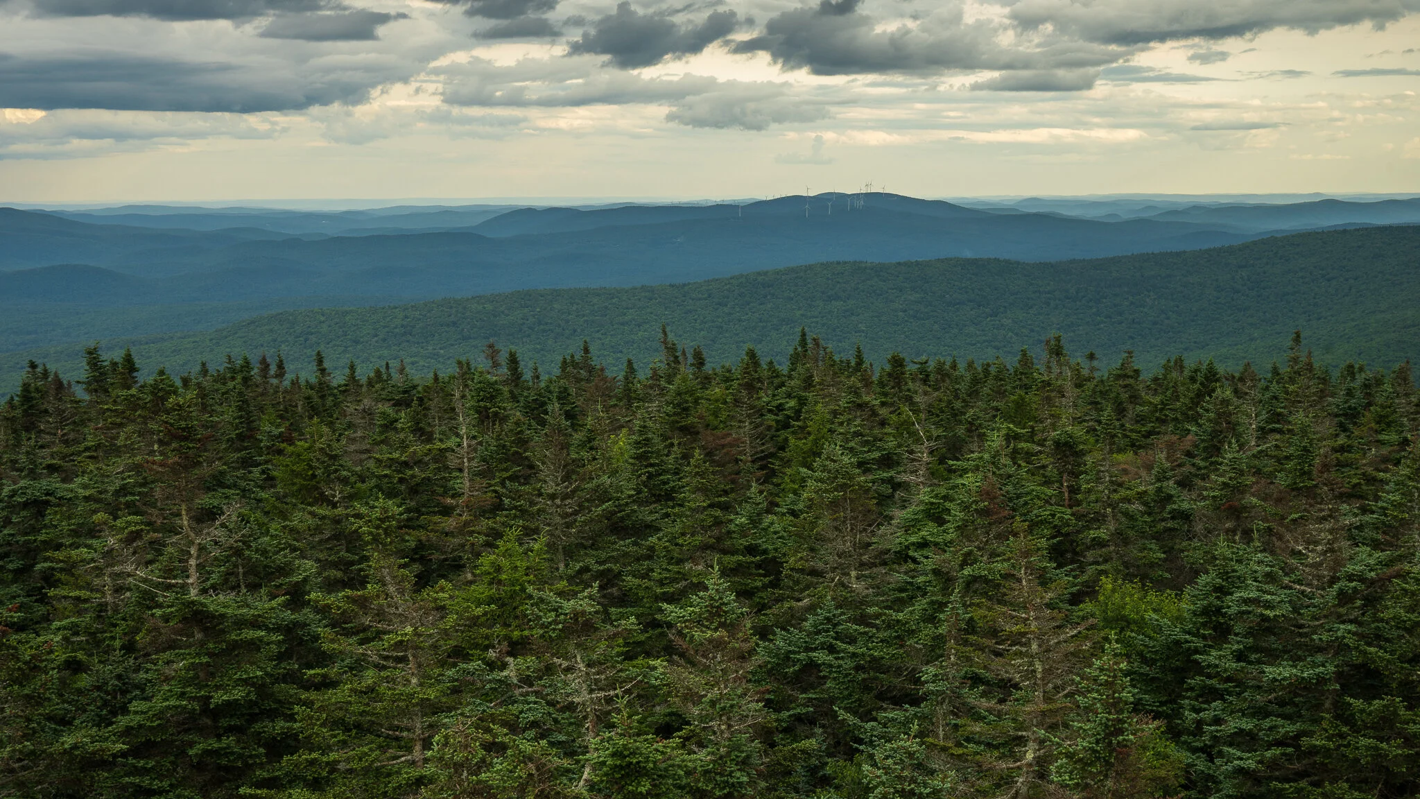 Glastenbury Wilderness, Vermont