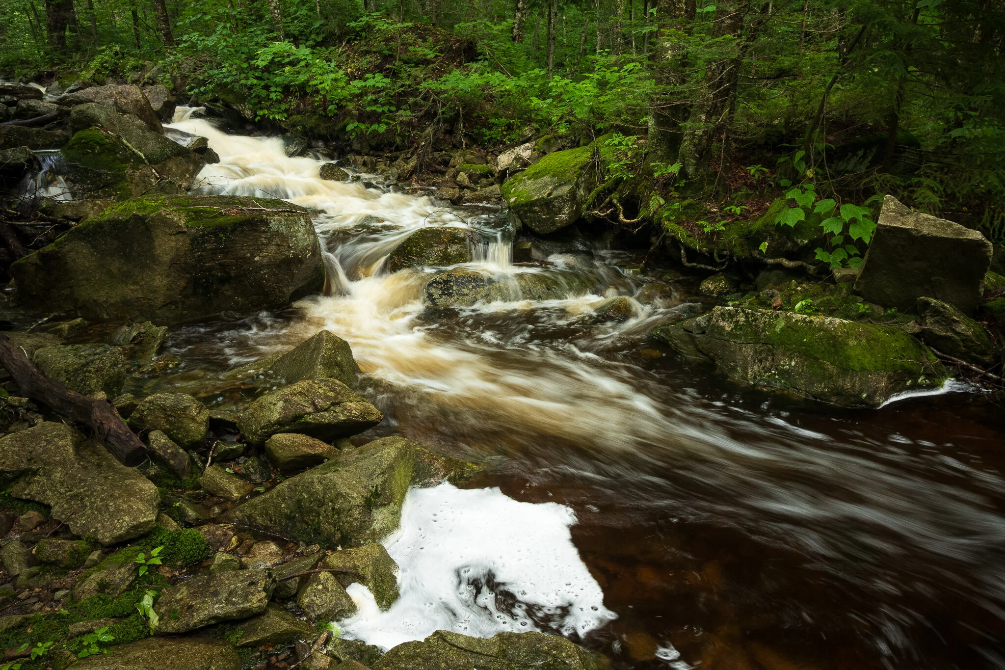 Glastenbury Wilderness, Vermont