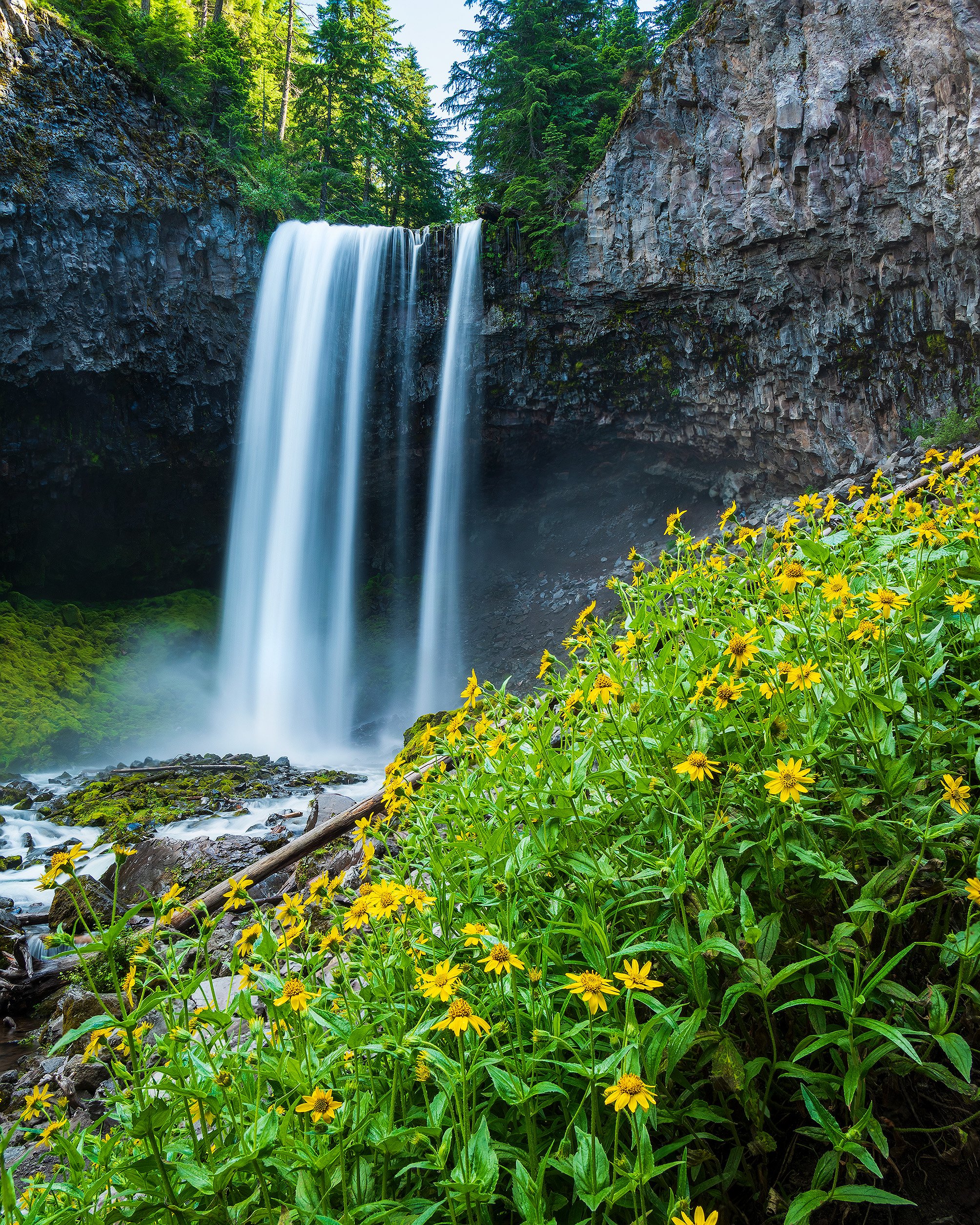 Oregon Waterfall Scene