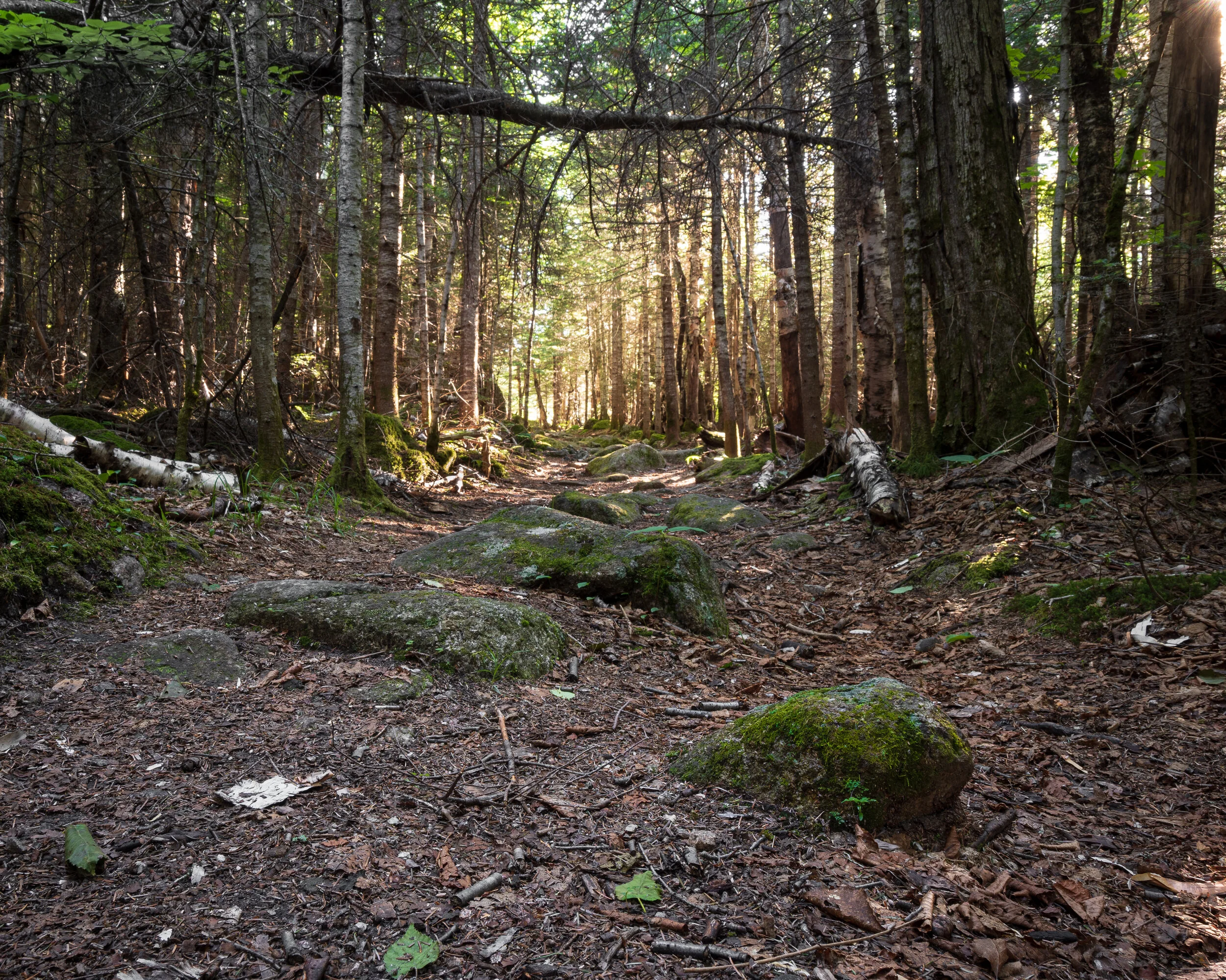 White Mountain National Forest, New Hampshire 