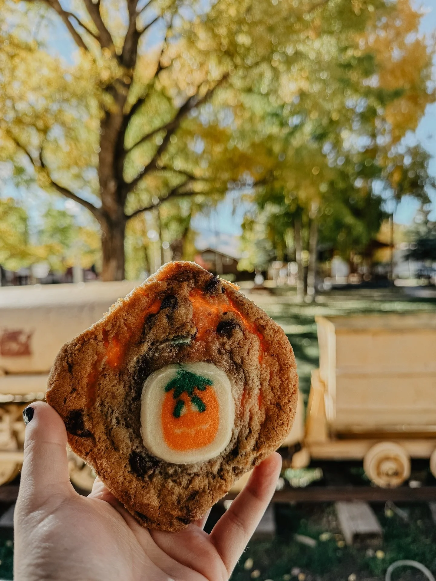 We’re celebrating October with some Pumpkin Sugar & Chocolate Chip Cookies π
Spooky Menu will roll out soon! Come see us til 3!! π