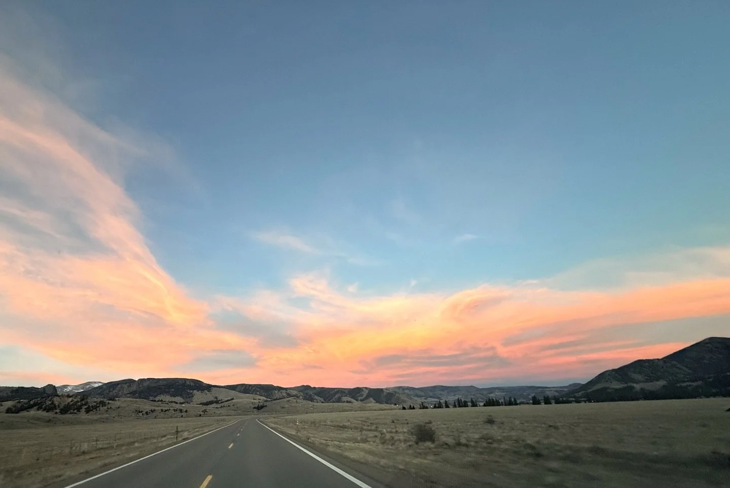 It&rsquo;s that time of year! We are nearing to our yearly shut down for the month of April! What this means for this next week: If you are a regular orderer of the coffee we have on our site, you have til Monday at 10 am to place an order &mdash; th