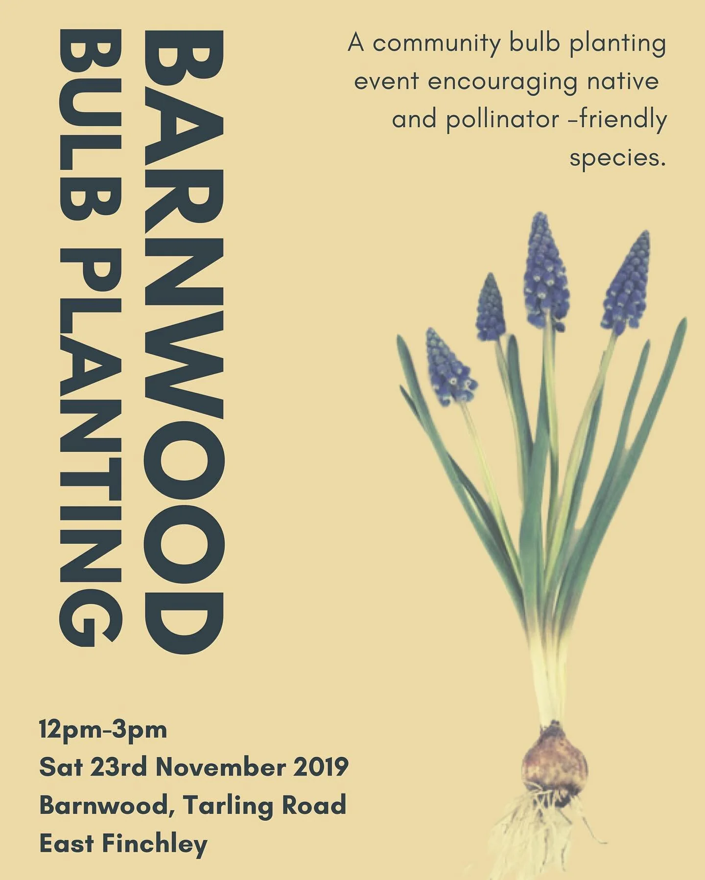 Don your gardening gloves and meet us in the developing forest garden.