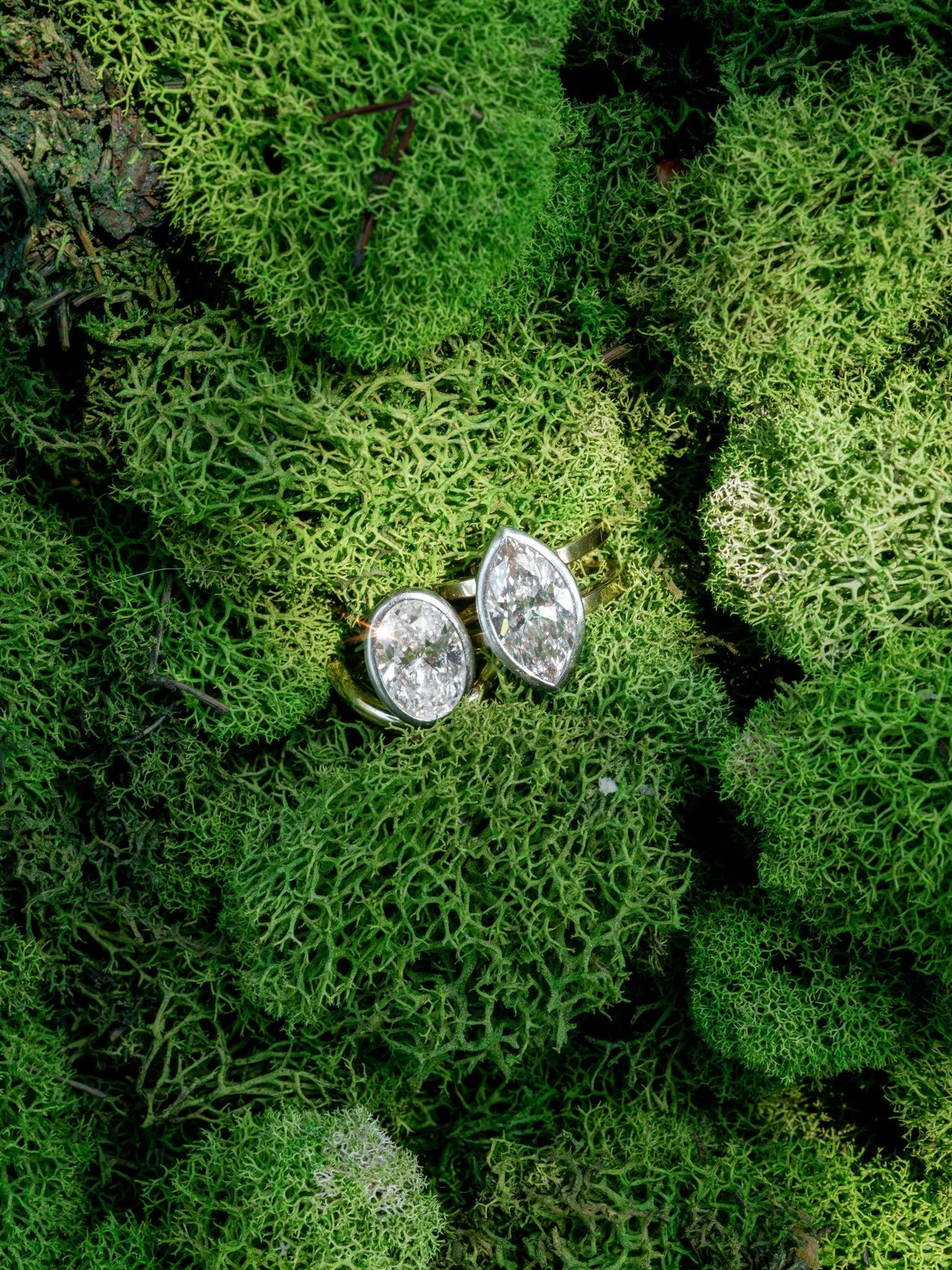 two brides engagement rings garden wedding beth chapman styling