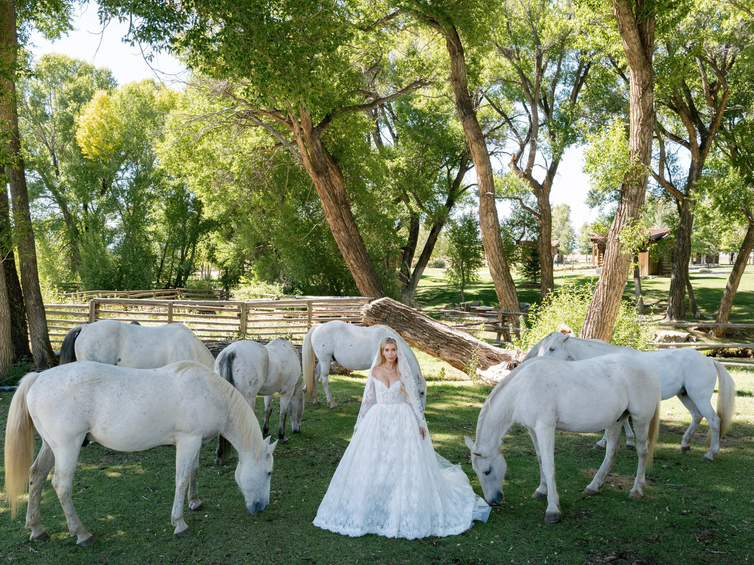 Beth Chapman Styling Wedding