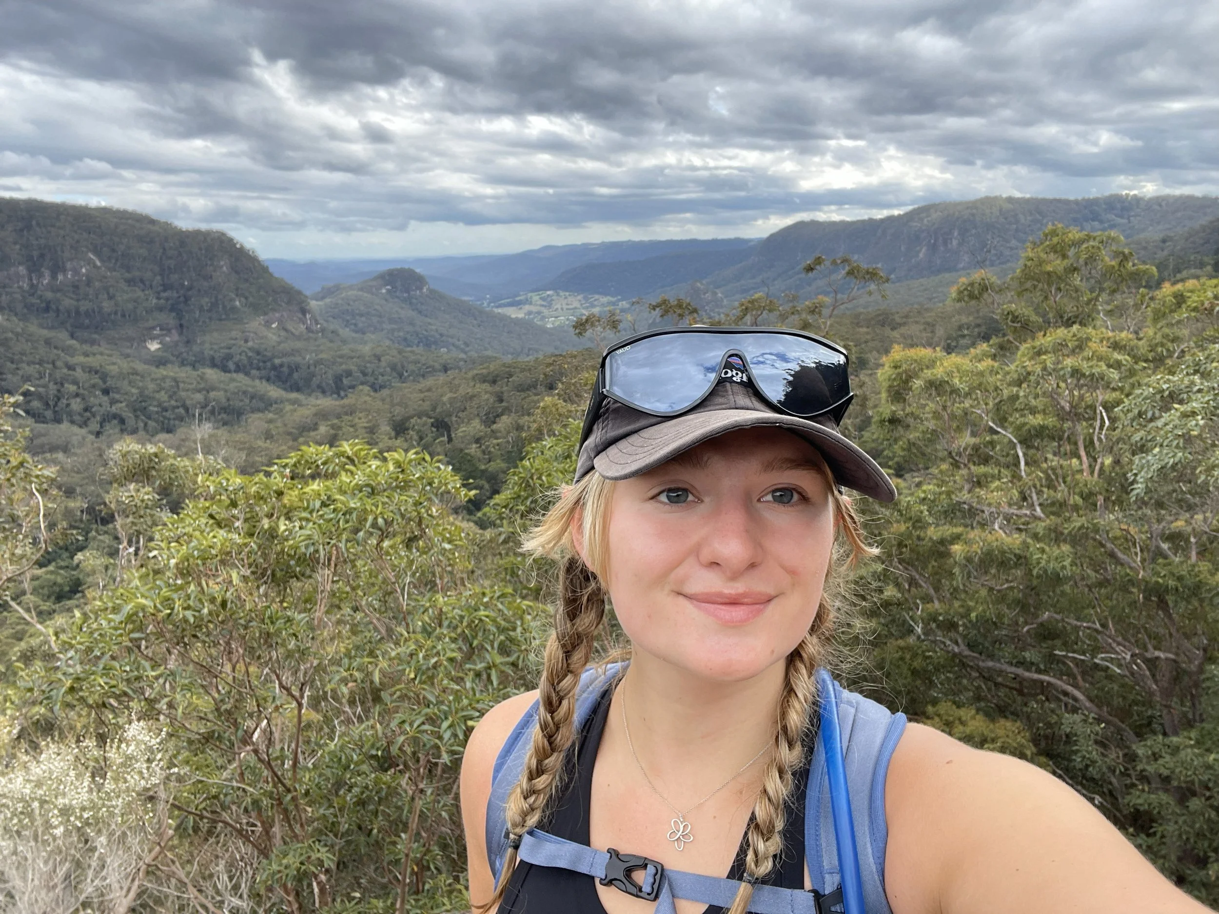 Influence of Breeding Practices on Genetic Diversity in Domesticated Dogs (Canis lupus familiaris) and Relevant Disorders