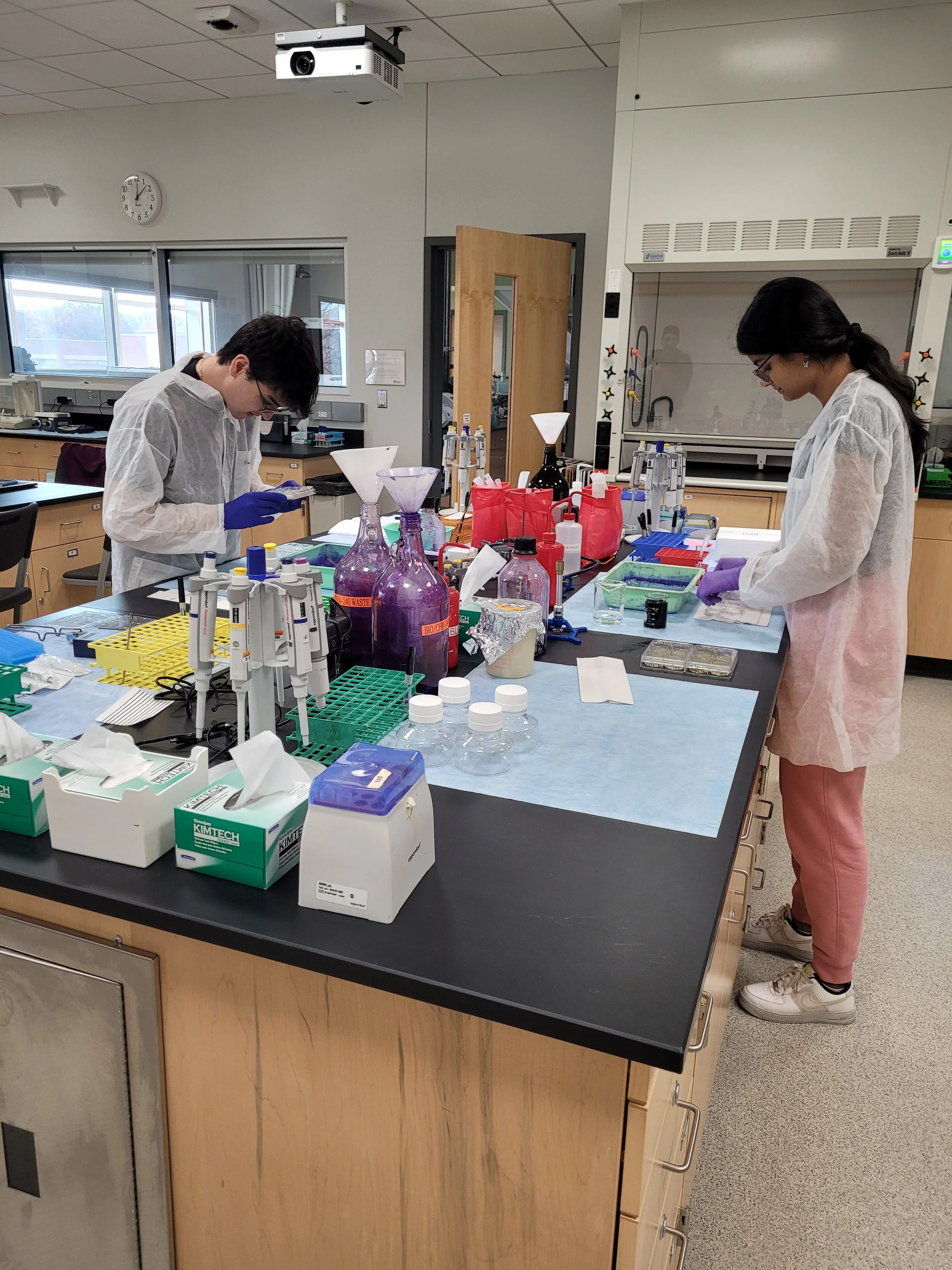 Honors Interdisciplinary Lab (photo by Prof. Ziegenhorn)