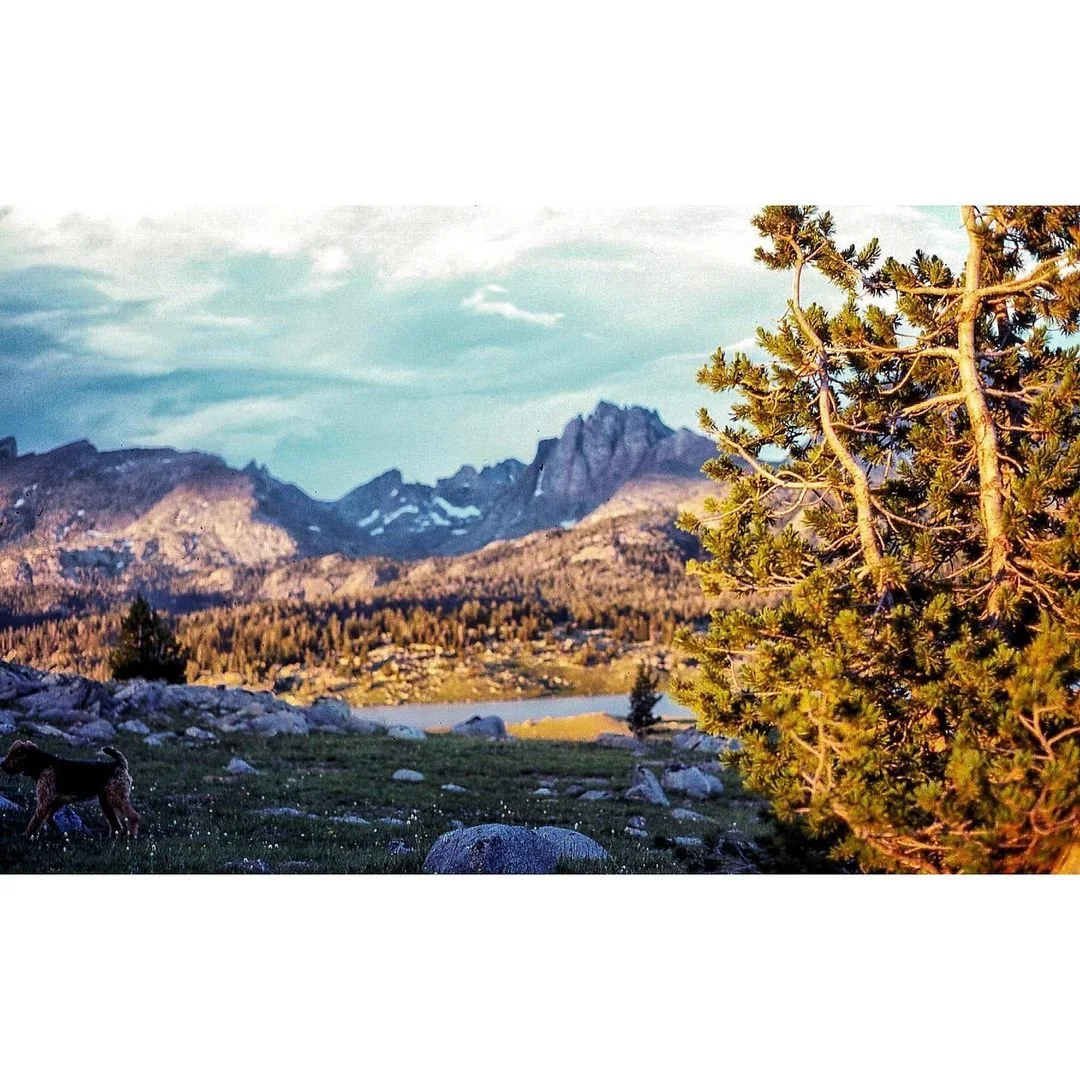 Photo by Katelynn Bell on July 25, 2019..jpg