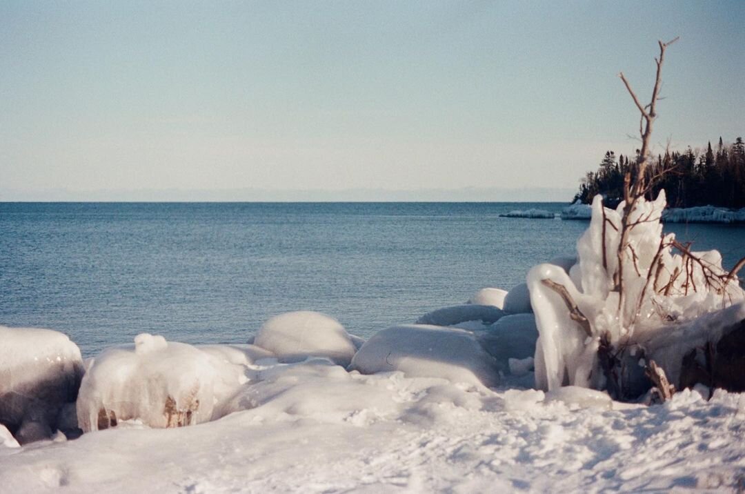 Photo by Katelynn Bell on April 14, 2021. May be an image of nature an.jpg