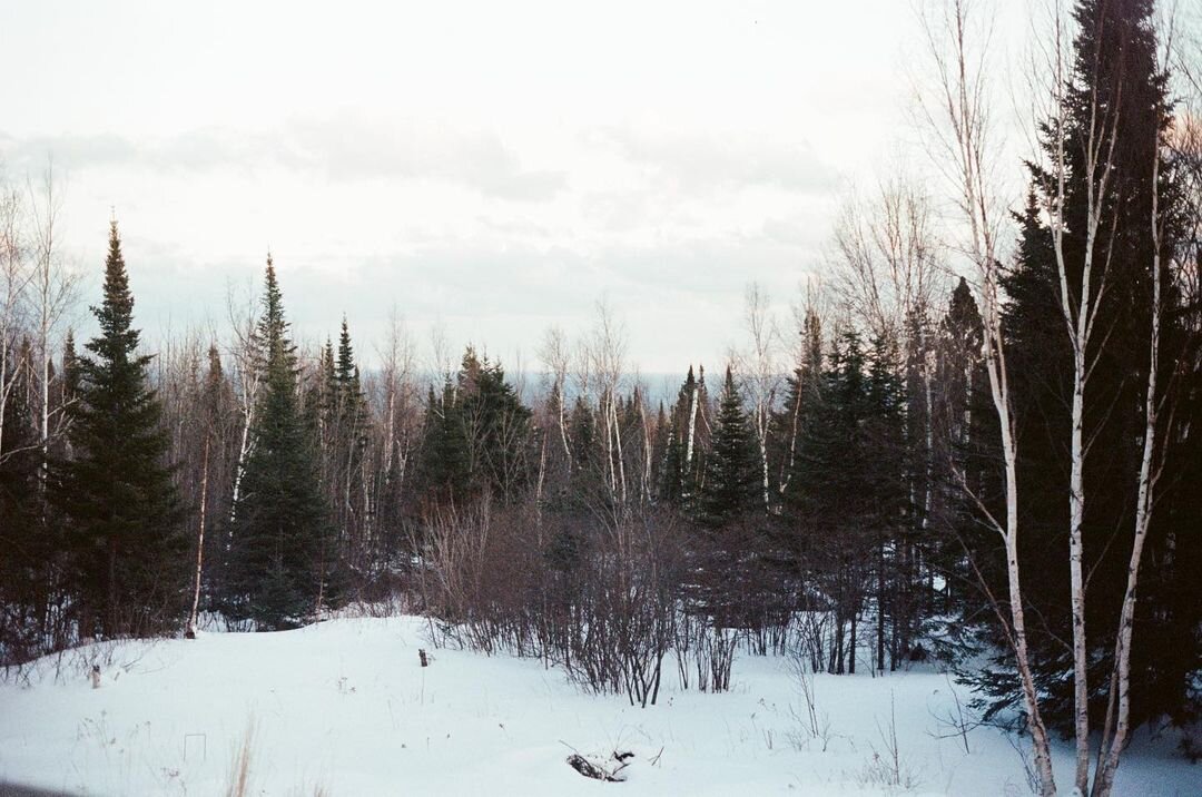 Photo by Katelynn Bell on April 14, 2021. May be an image of tree, nat 2.jpg