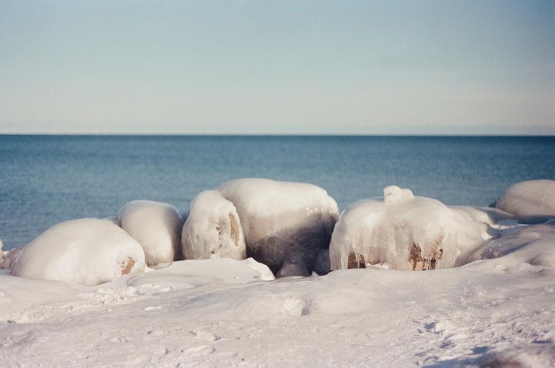 Photo by Katelynn Bell on April 14, 2021. May be an image of nature..jpg