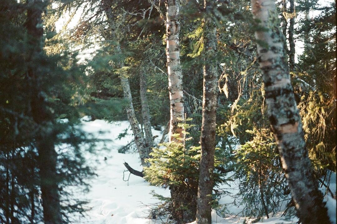 Photo by Katelynn Bell on April 14, 2021. May be an image of nature an 2.jpg