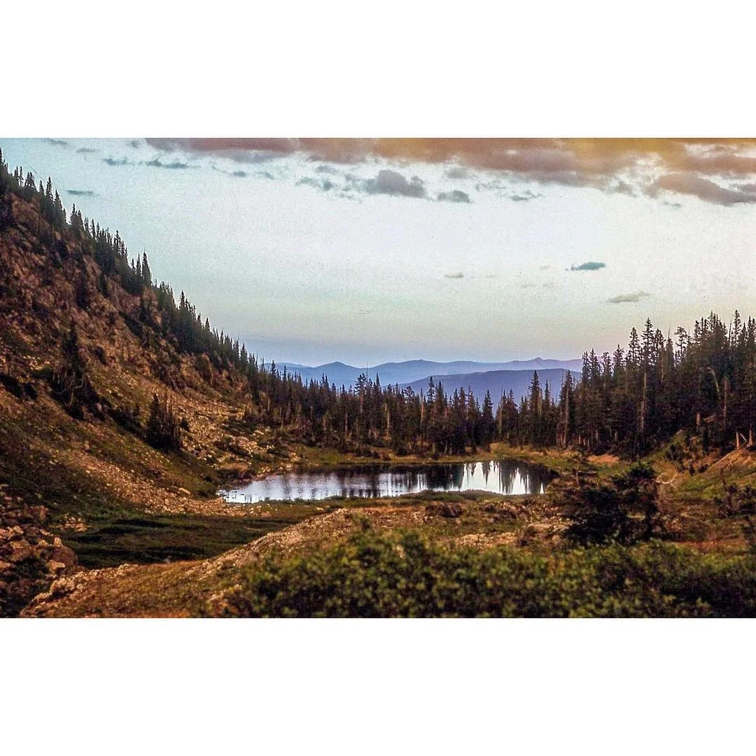 Photo by Katelynn Bell on July 25, 2019..jpg