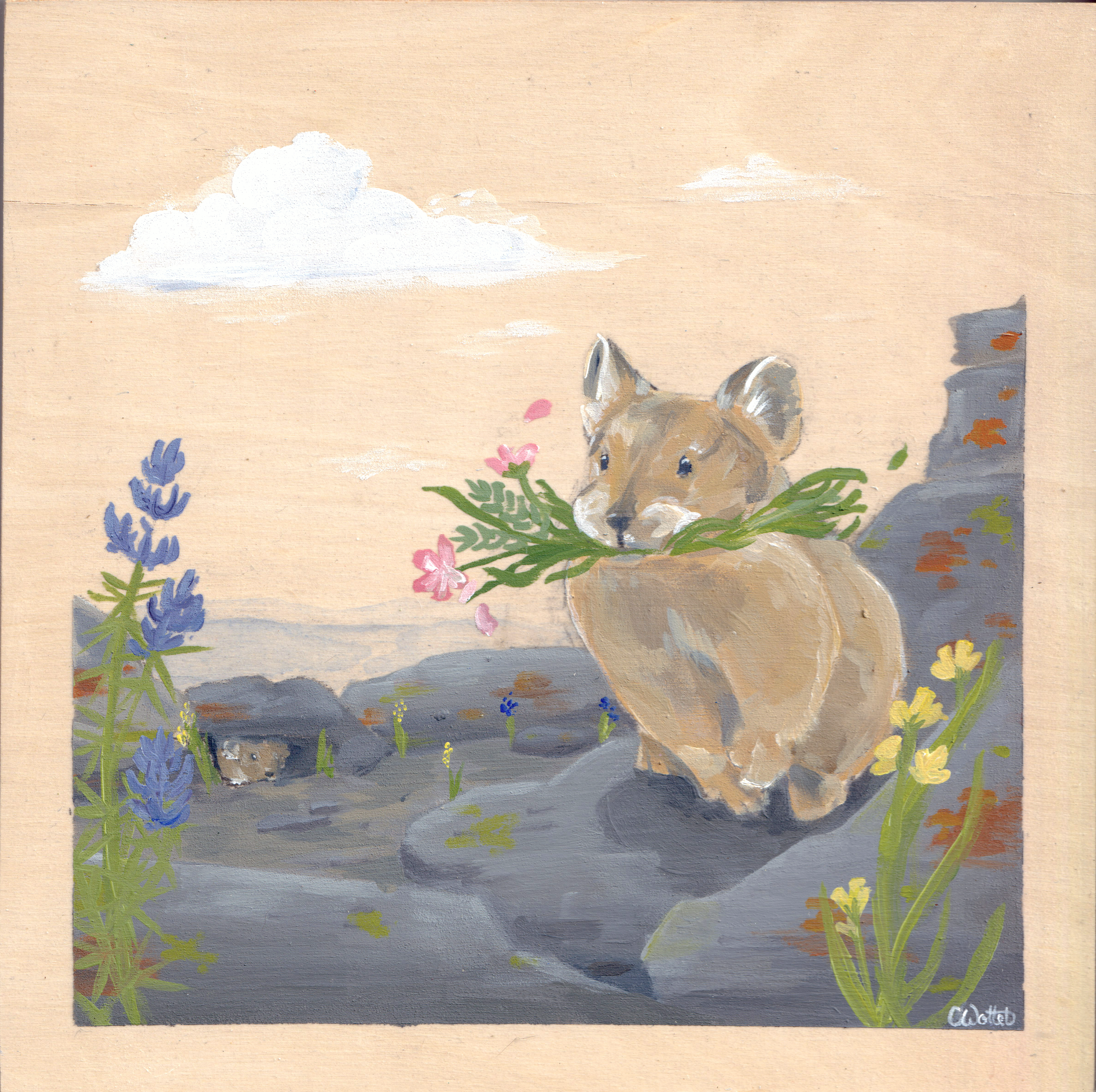 Busy Pika | acrylic on 8 x 8" cradled wood panel 