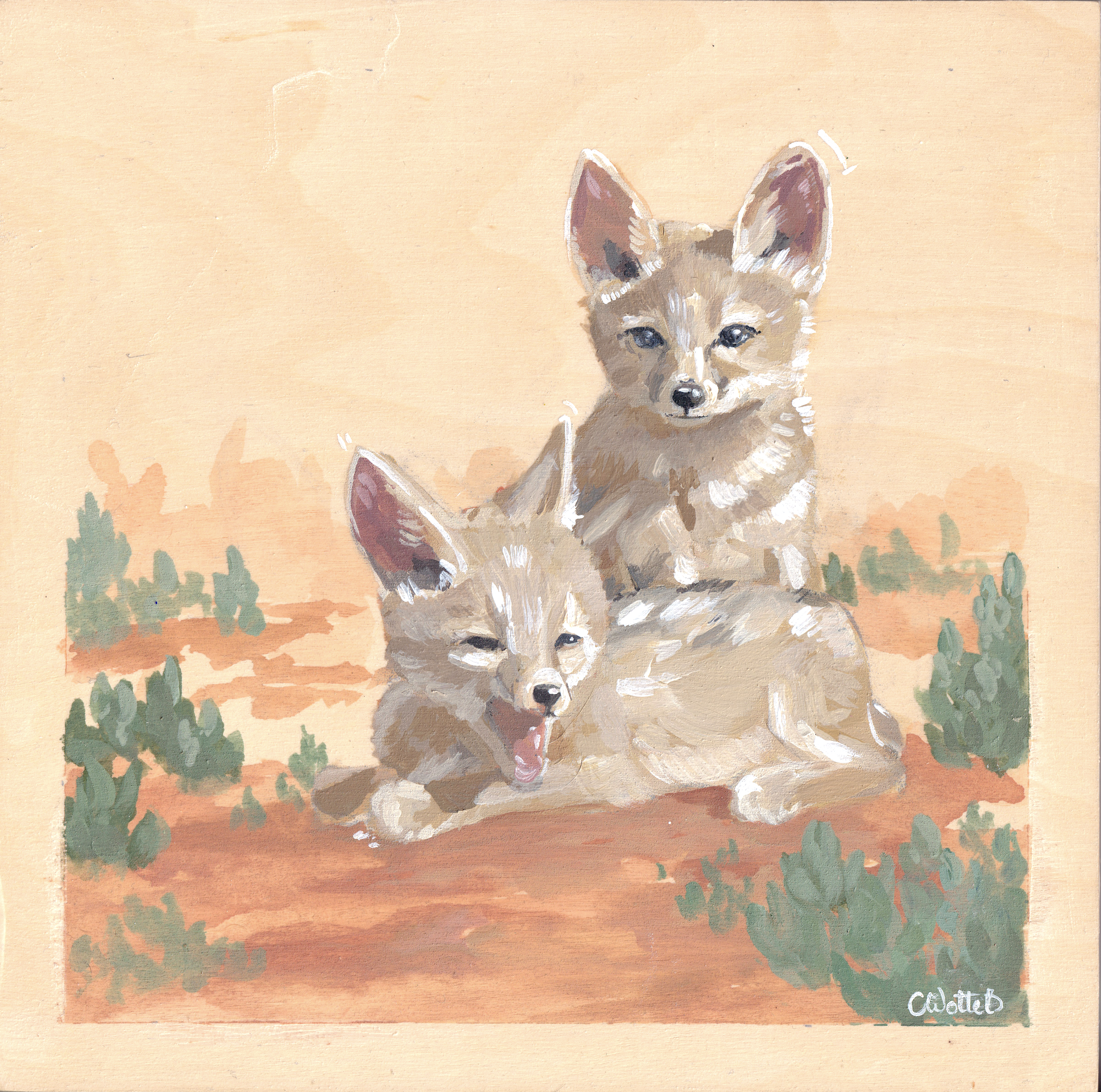 Swift Fox Pups | acrylic on 8 x 8" cradled wood panel
