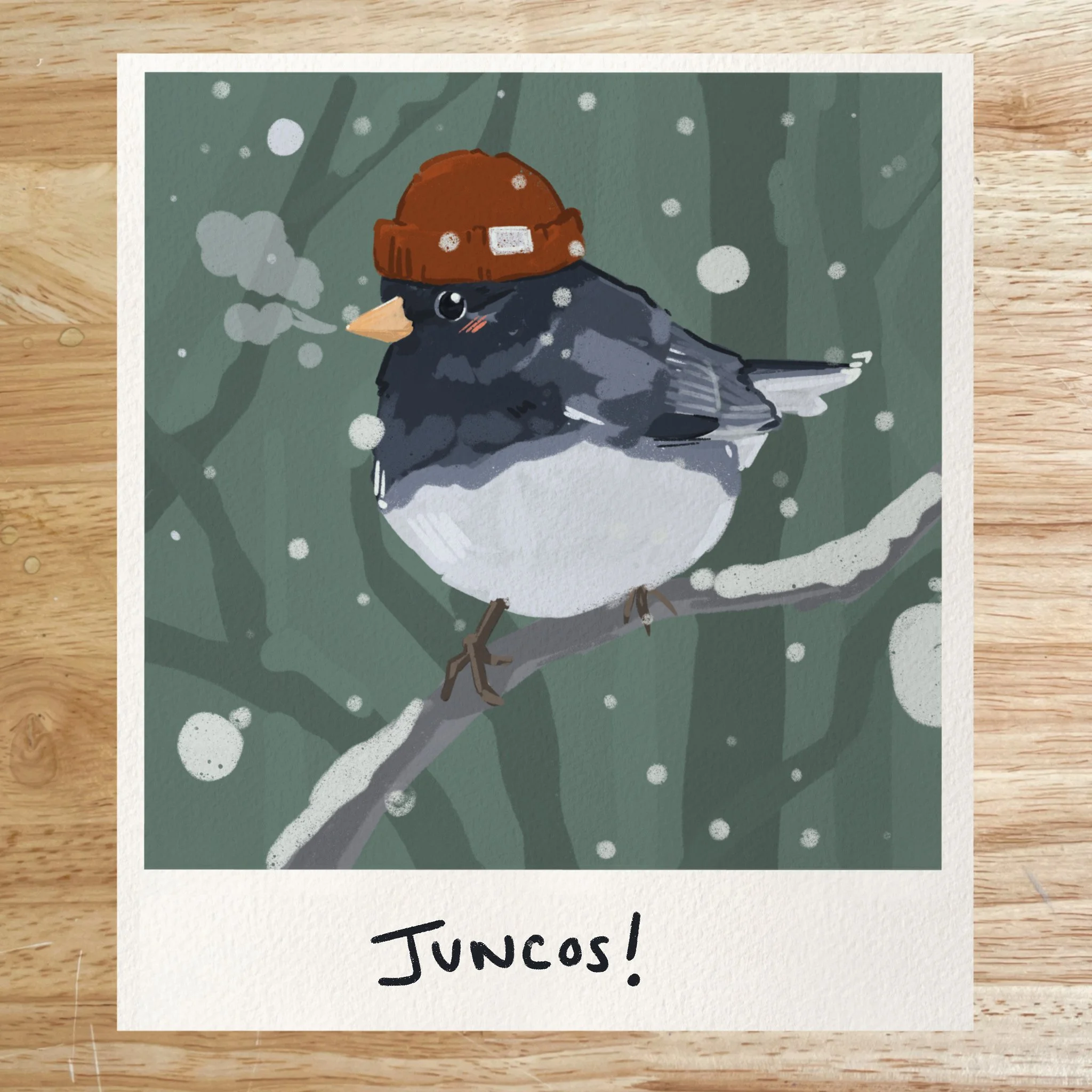 Cozy Junco | digital illustration created with Procreate