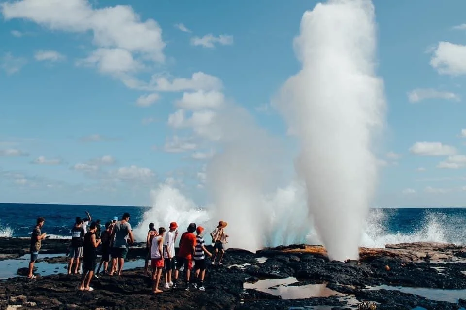 Blowholes2.JPG