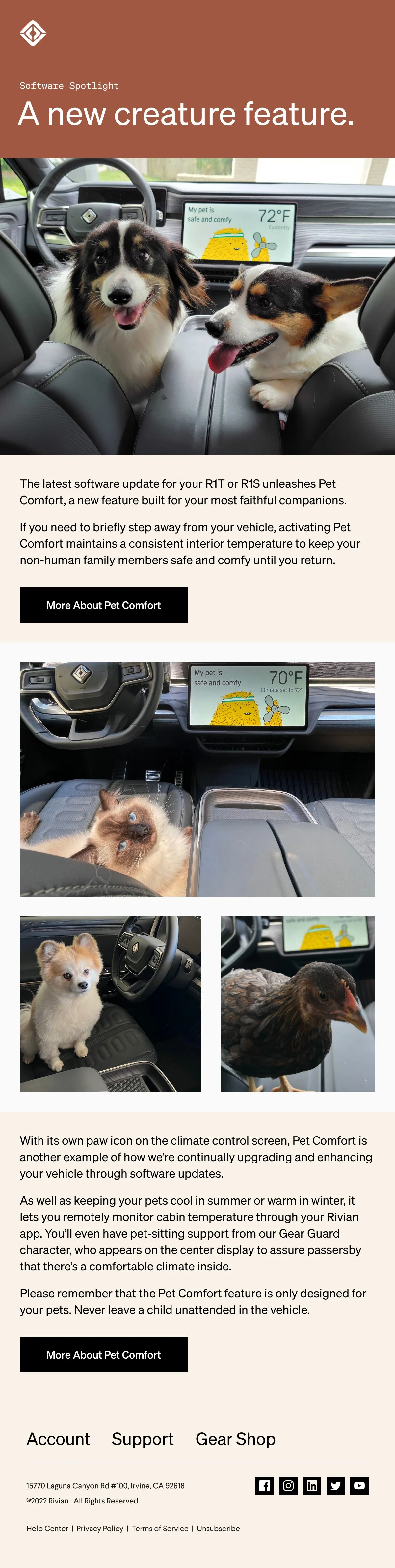 OTA-PetComfort-Desktop.jpg