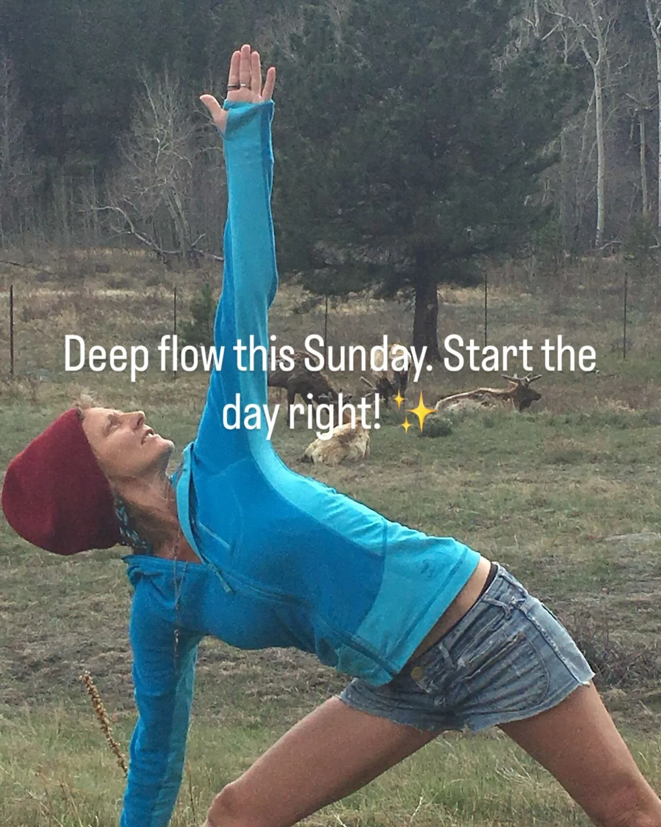 I am offering a yoga class, deep flow, this Sunday at Green Yogi Telegraph 9-10.30am. Let your light shine