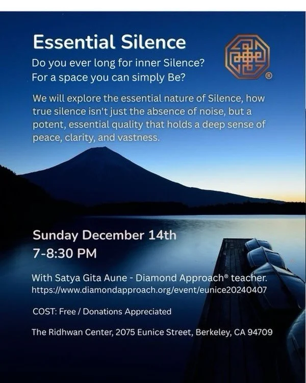 Tonight at 7pm@at the Ridhwan school I am offering this talk on Silwnce. An opportunity to be in the sanctuary and experience a flavors of the Diamond Approch. Bring a friend or simply be your own friend for this evening event.