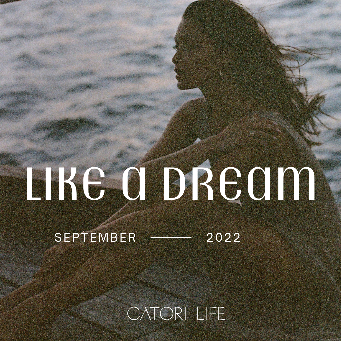 like a dream.