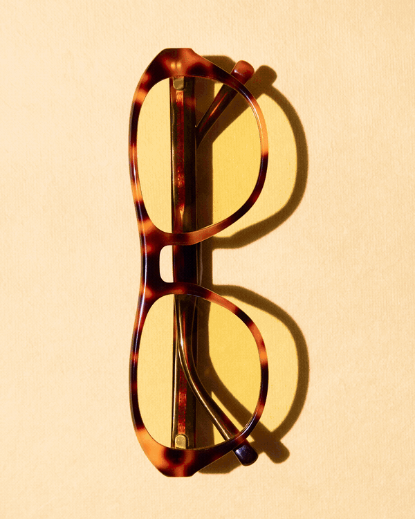 Bailey-Nelson-Tints-Closeup-Web.gif