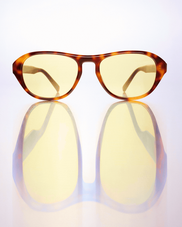Bailey-Nelson-Tints-Web.gif