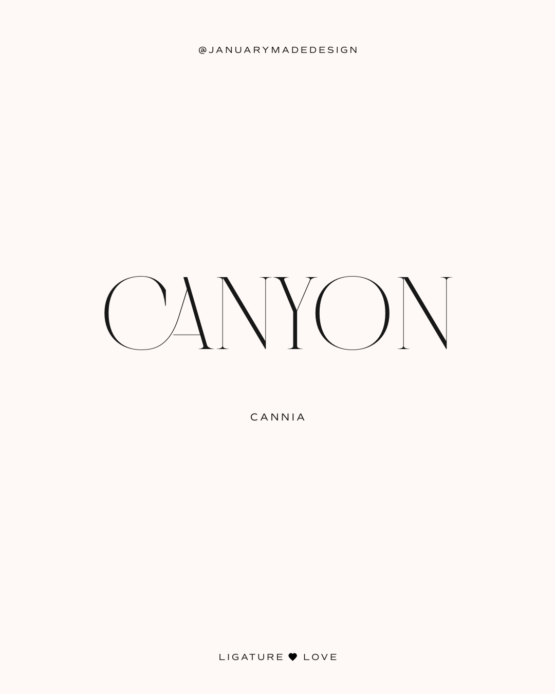 Cannia by Brand Semut