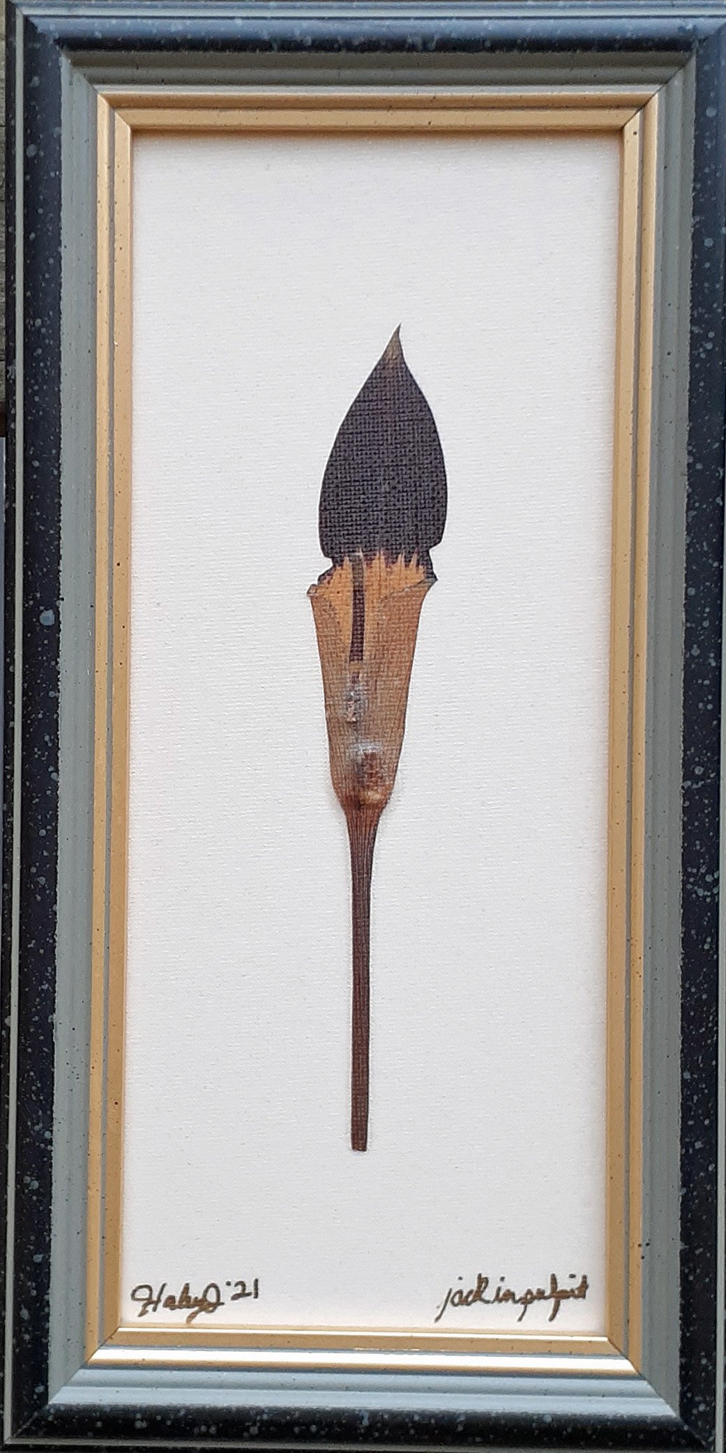 jack in pulpit.jpg