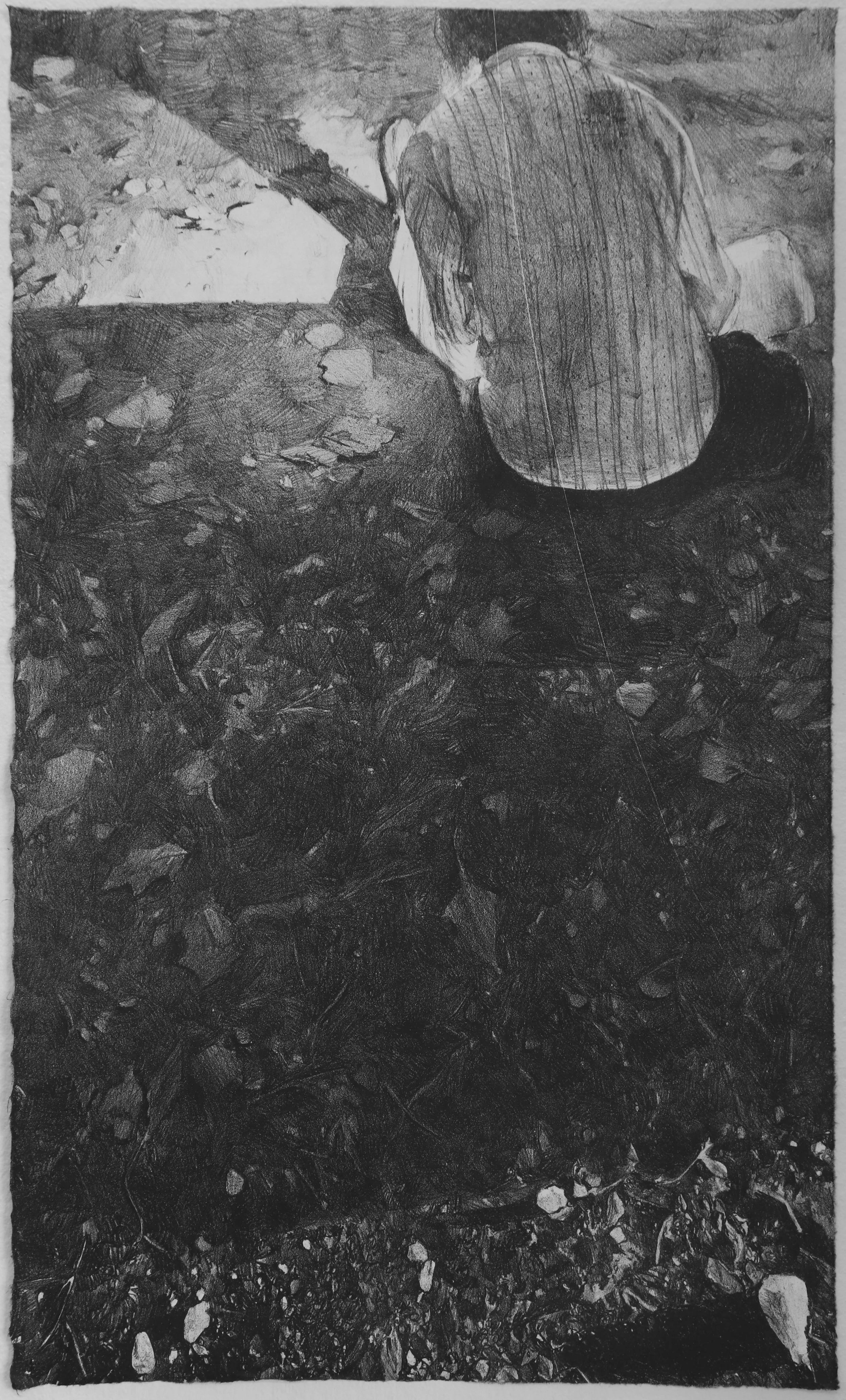 Untitled Stony Run. Stone Lithograph on Mulberry, 18x30in, 2025.