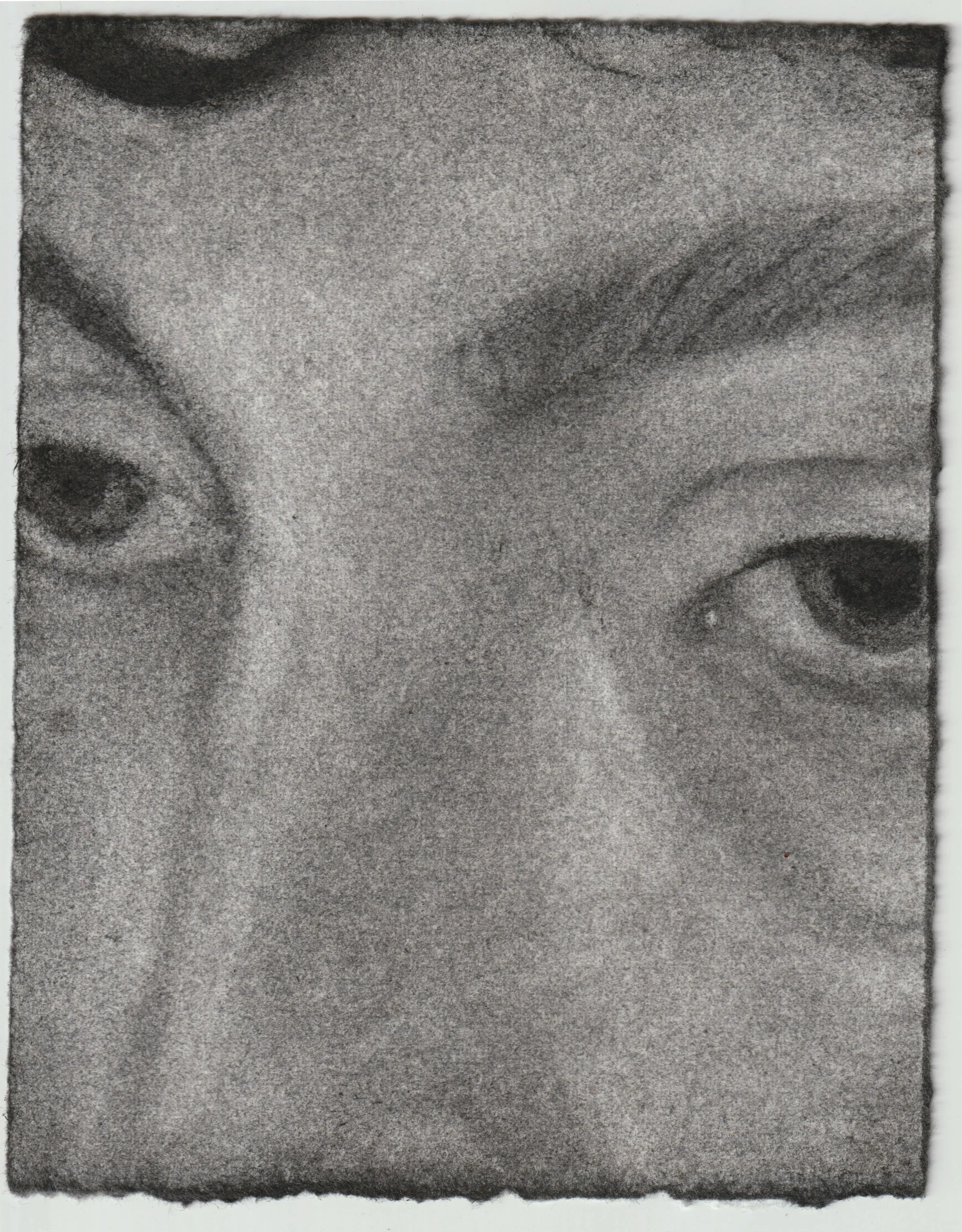 Untitled For Now 4.jpeg