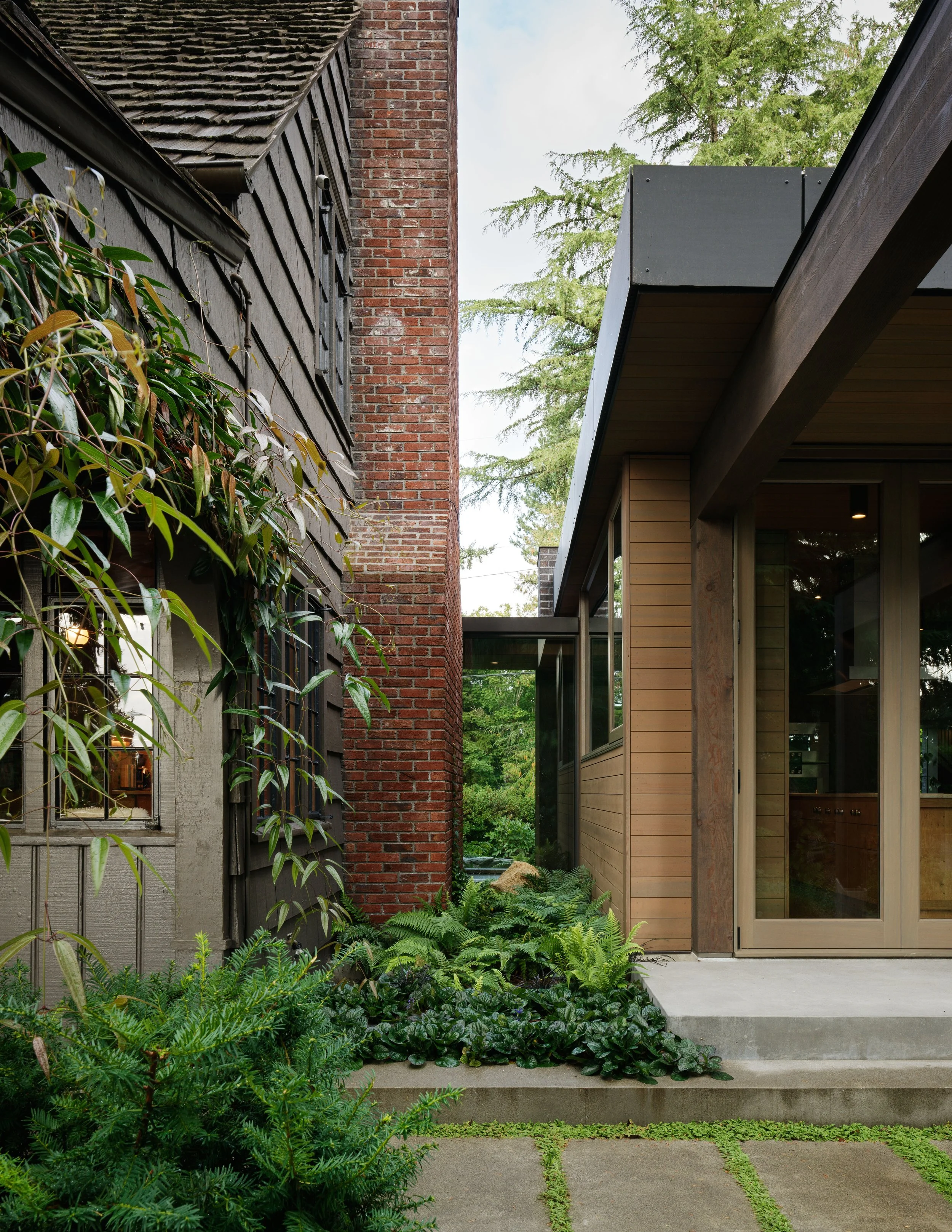 (c) Kevin Scott - Loyal Captain_10065.jpg