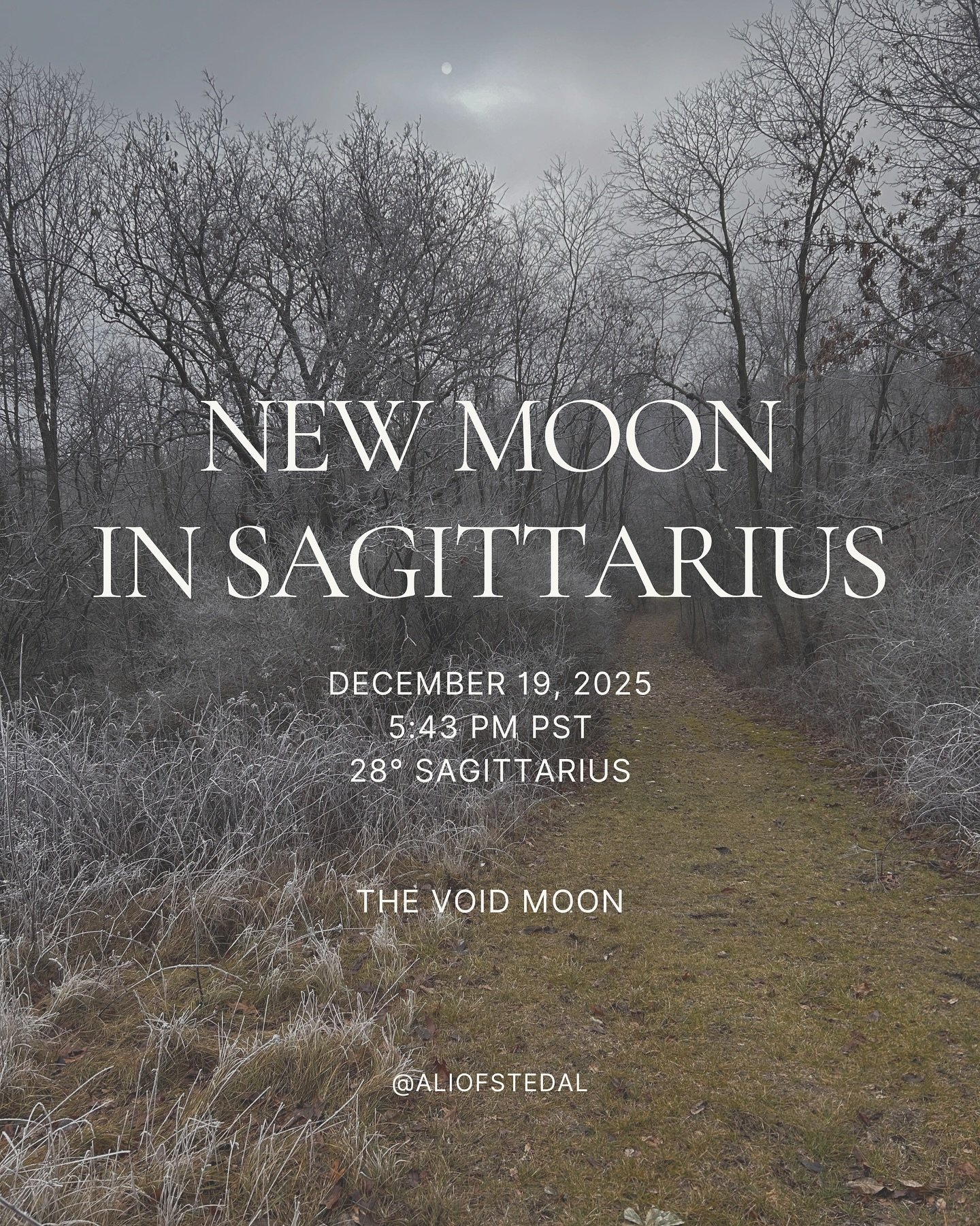 new moon in sagittarius

we&rsquo;re cracking open to expand. 
trust that as you feel deeply into those cracks and crevices, 
your intimacy with the world is deepening. 
your capacity for love is expanding.

and new seeds are gestating within the voi