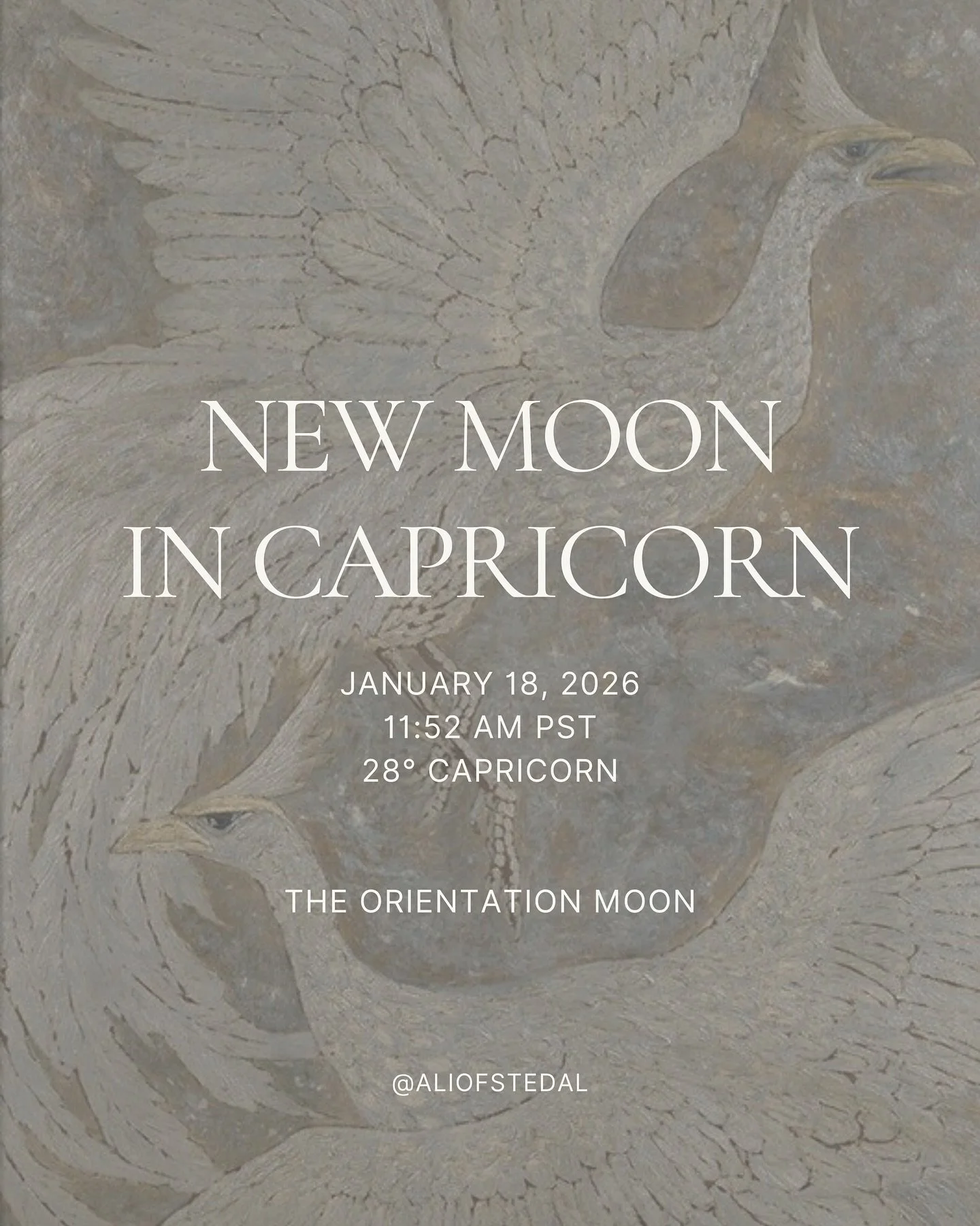 The New Moon in Capricorn at 28&deg;
marks a threshold.

This is the final New Moon before eclipse season.
An orientation point. An organization point.

Asking us to commit with clarity and integrity
to the new chapter, new timeline. 

What you choos