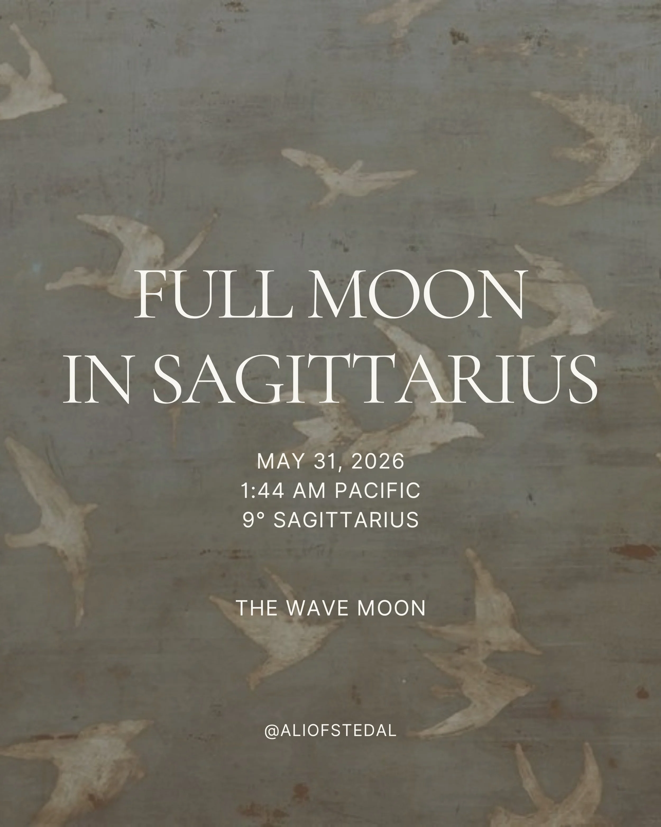 This moon asks&hellip;can we moved with the tides?

Can we shift, pivot, adjust when new information presents?

Adaptability will be our superpower in the coming years, as life turns on a dime. 

Tune into the latest episode of @soul__archaeology by 