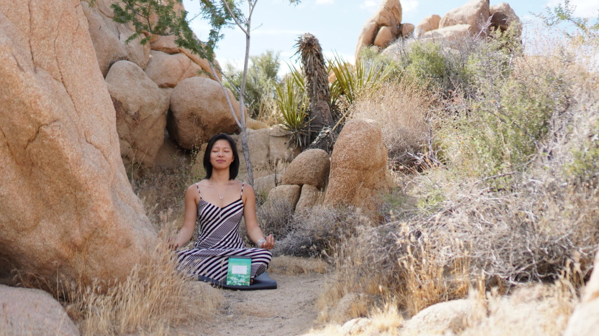 010. guided meditation to reset your energy