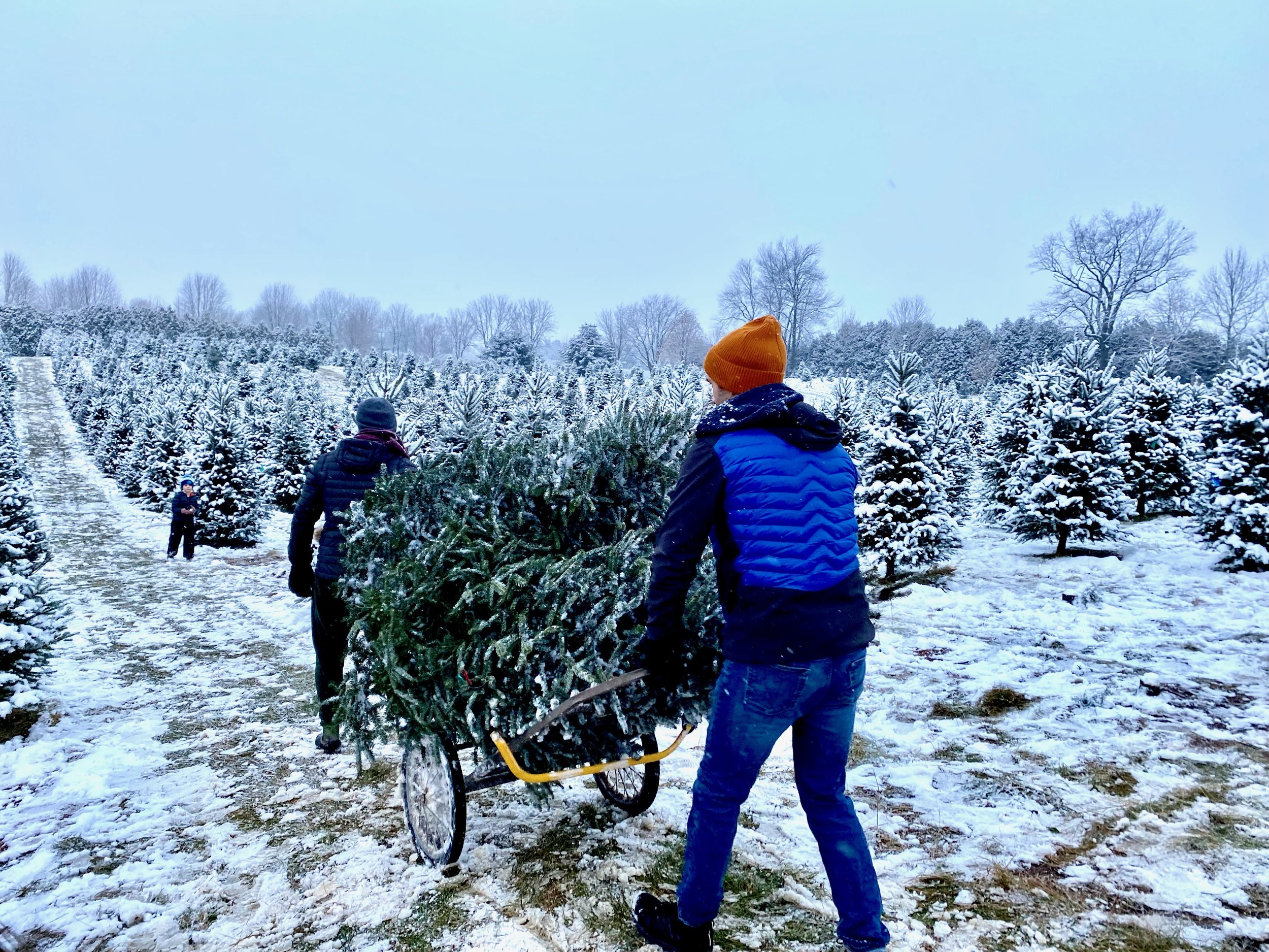 Christmas traditions