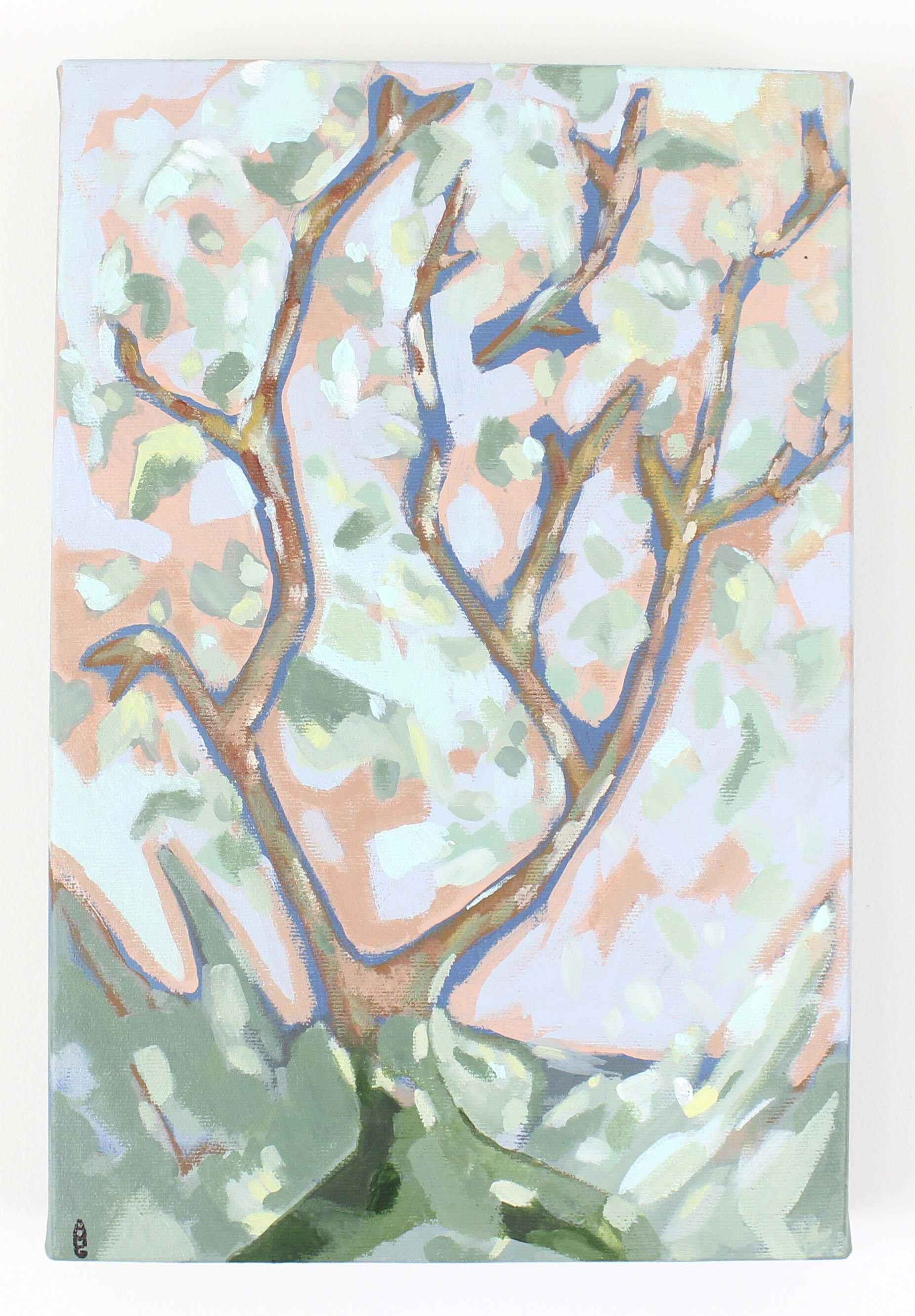 summer lane 03.jpg
